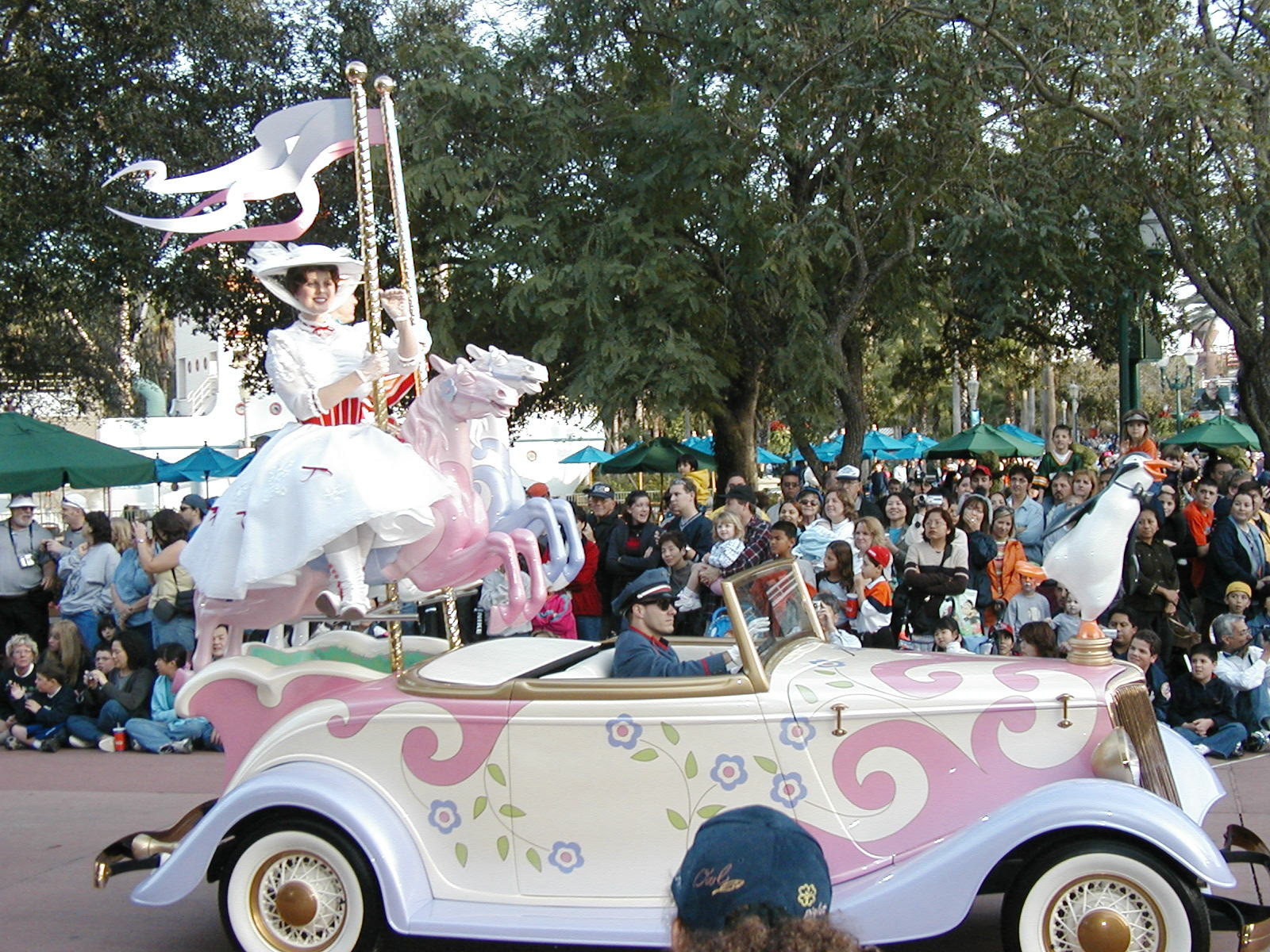 OLYMPUS DIGITAL CAMERA