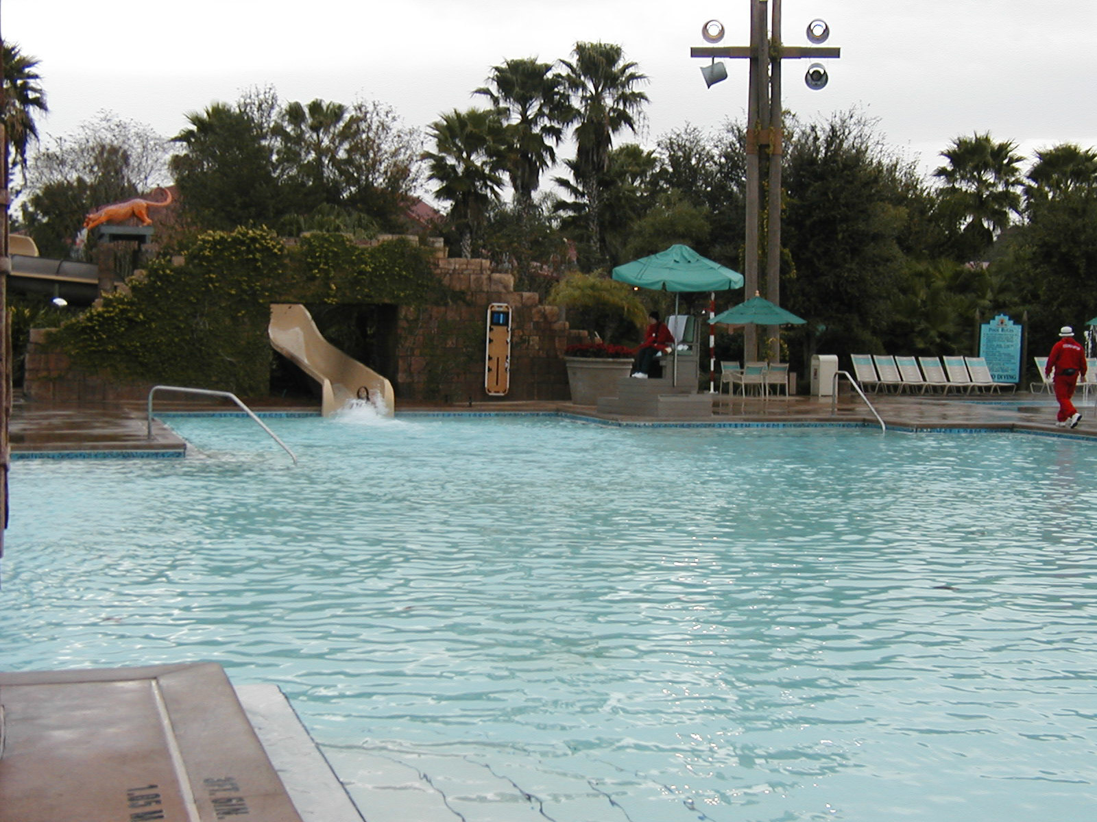 OLYMPUS DIGITAL CAMERA