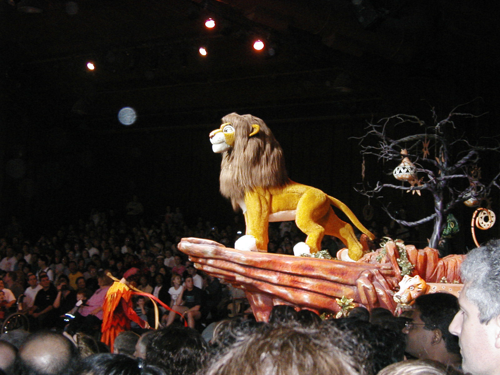 OLYMPUS DIGITAL CAMERA