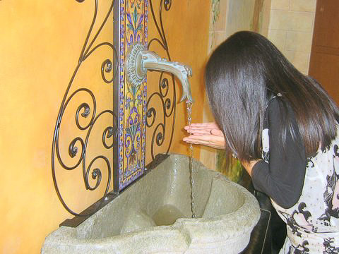 The Fountain of Youth