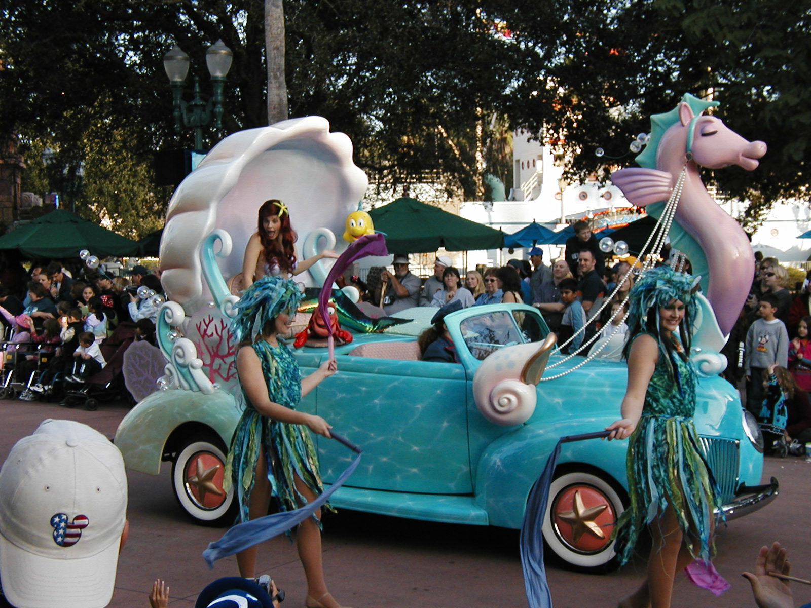 OLYMPUS DIGITAL CAMERA