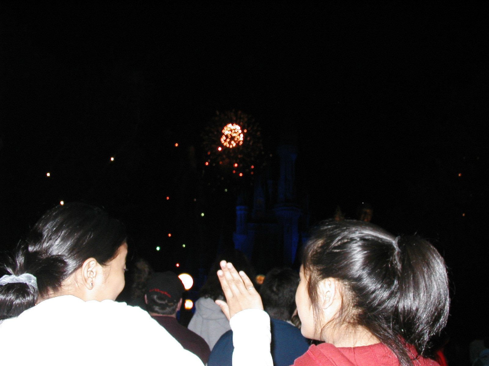 OLYMPUS DIGITAL CAMERA