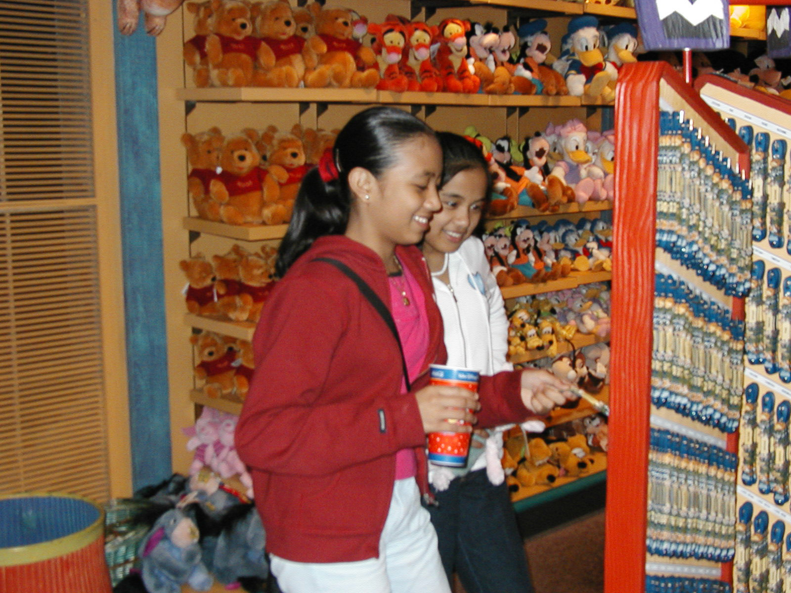 OLYMPUS DIGITAL CAMERA