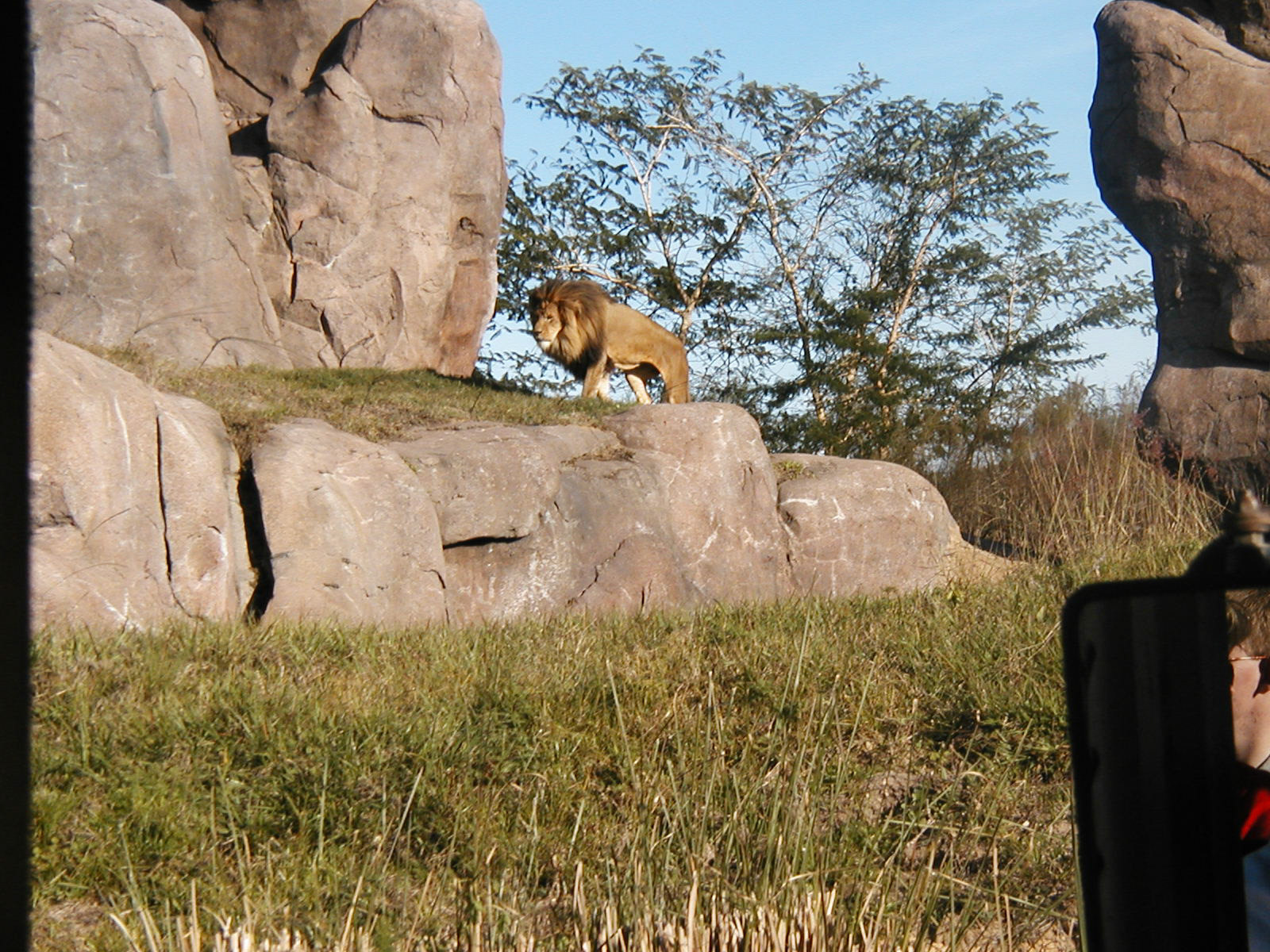 OLYMPUS DIGITAL CAMERA