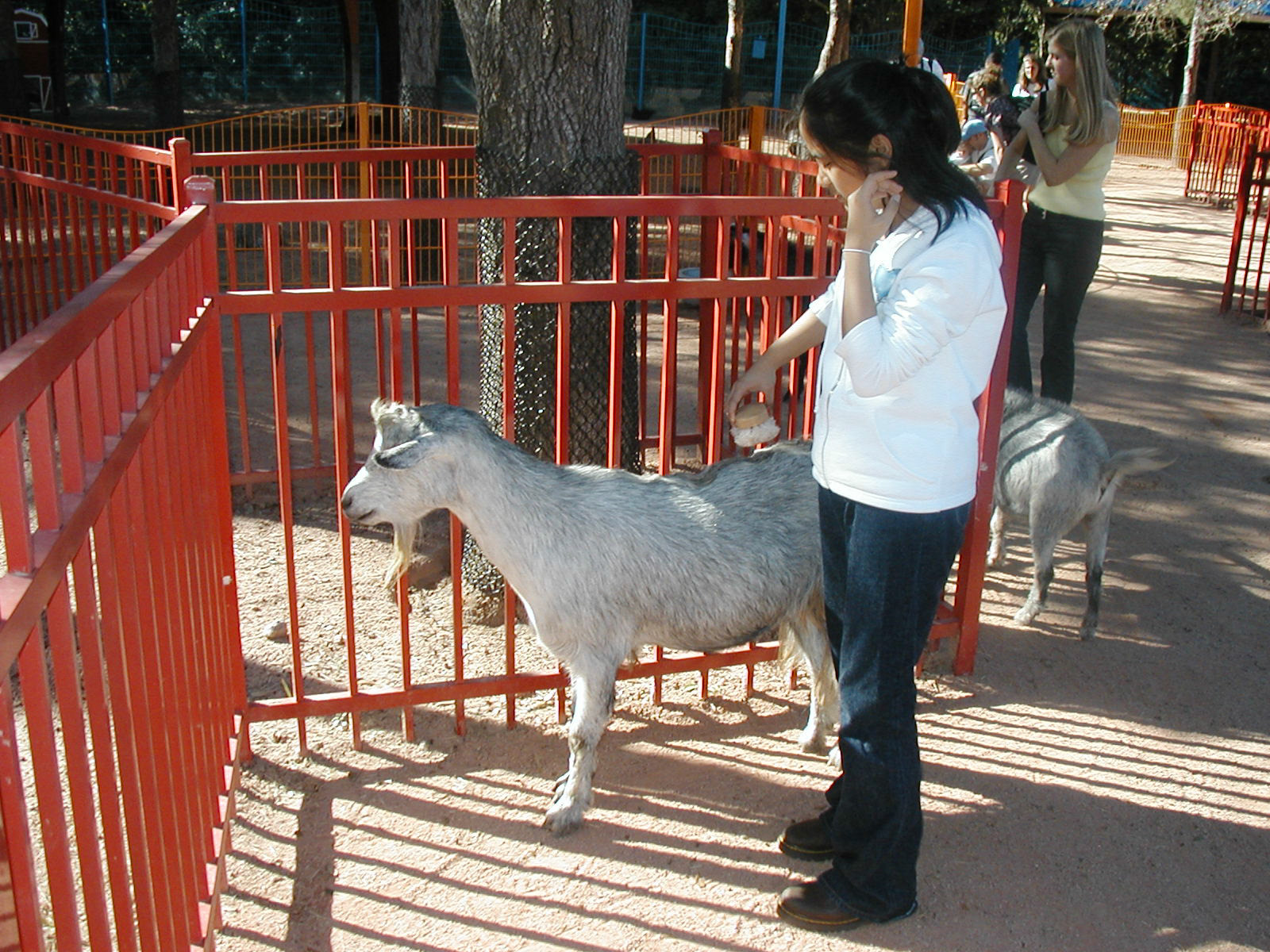 OLYMPUS DIGITAL CAMERA