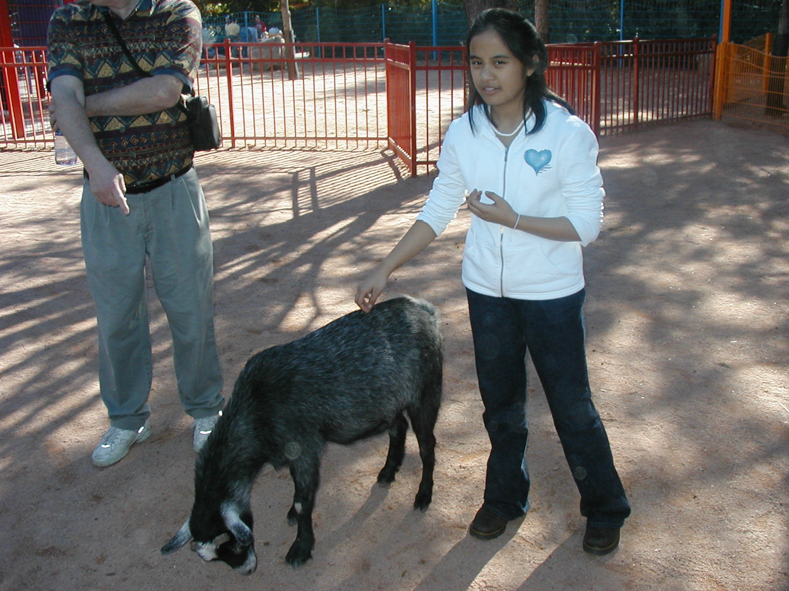 OLYMPUS DIGITAL CAMERA