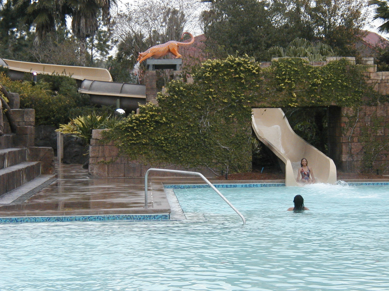 OLYMPUS DIGITAL CAMERA