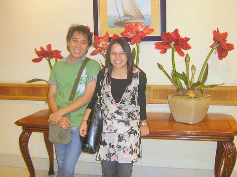 Martha Stewart's Christmas Flowers