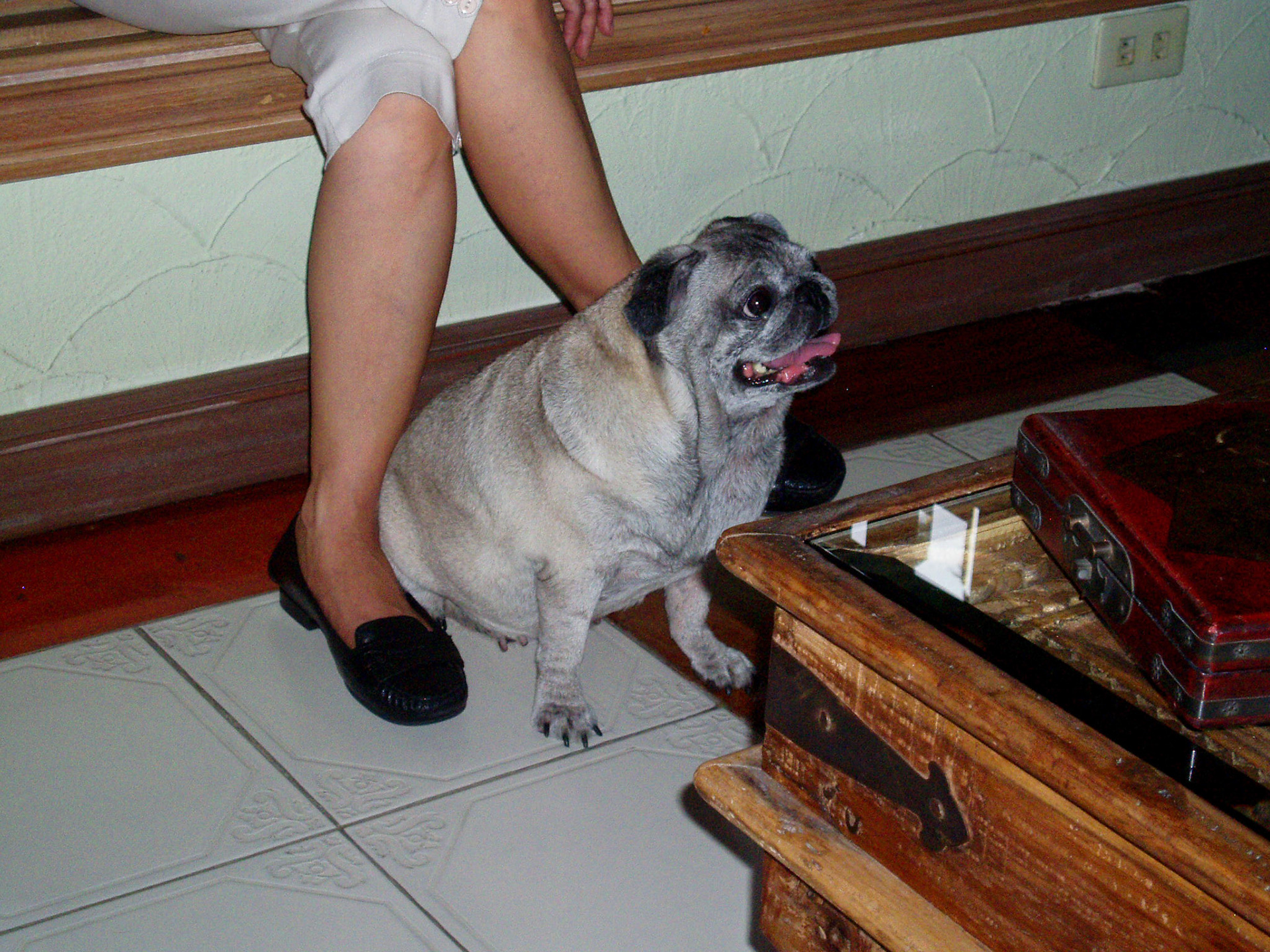 OLYMPUS DIGITAL CAMERA