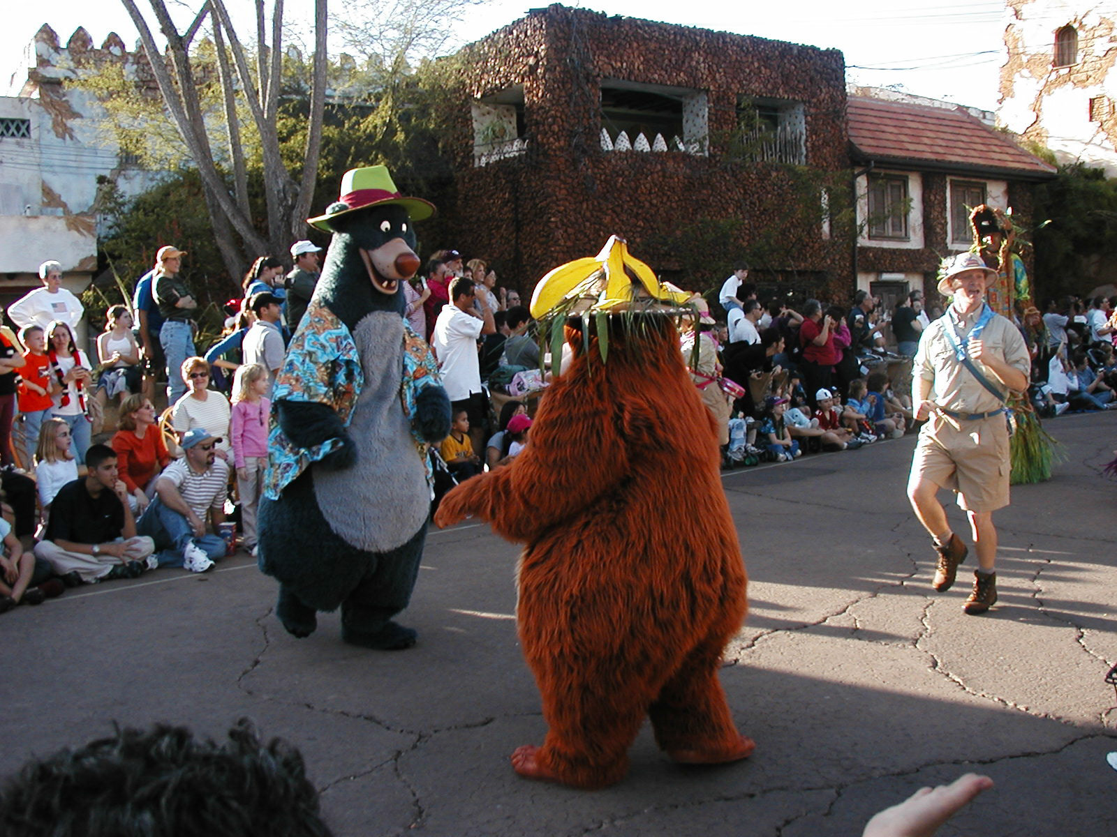 OLYMPUS DIGITAL CAMERA