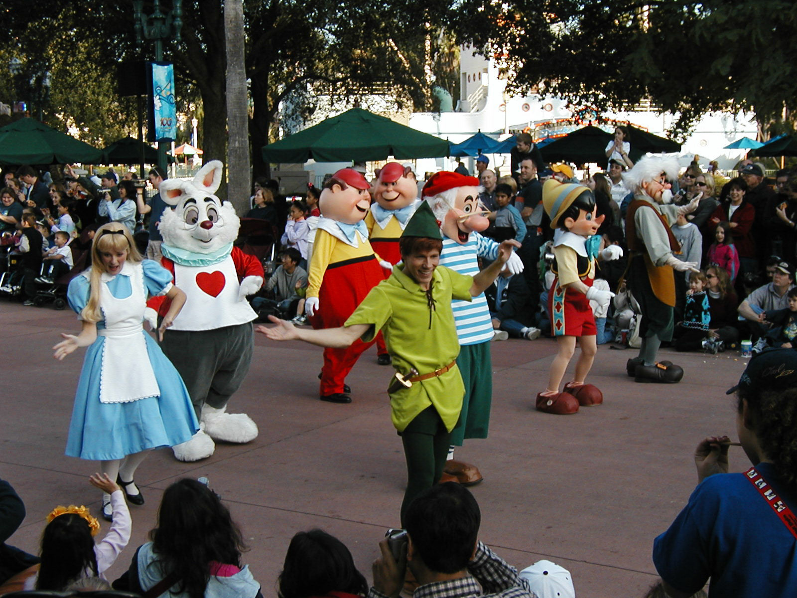 OLYMPUS DIGITAL CAMERA