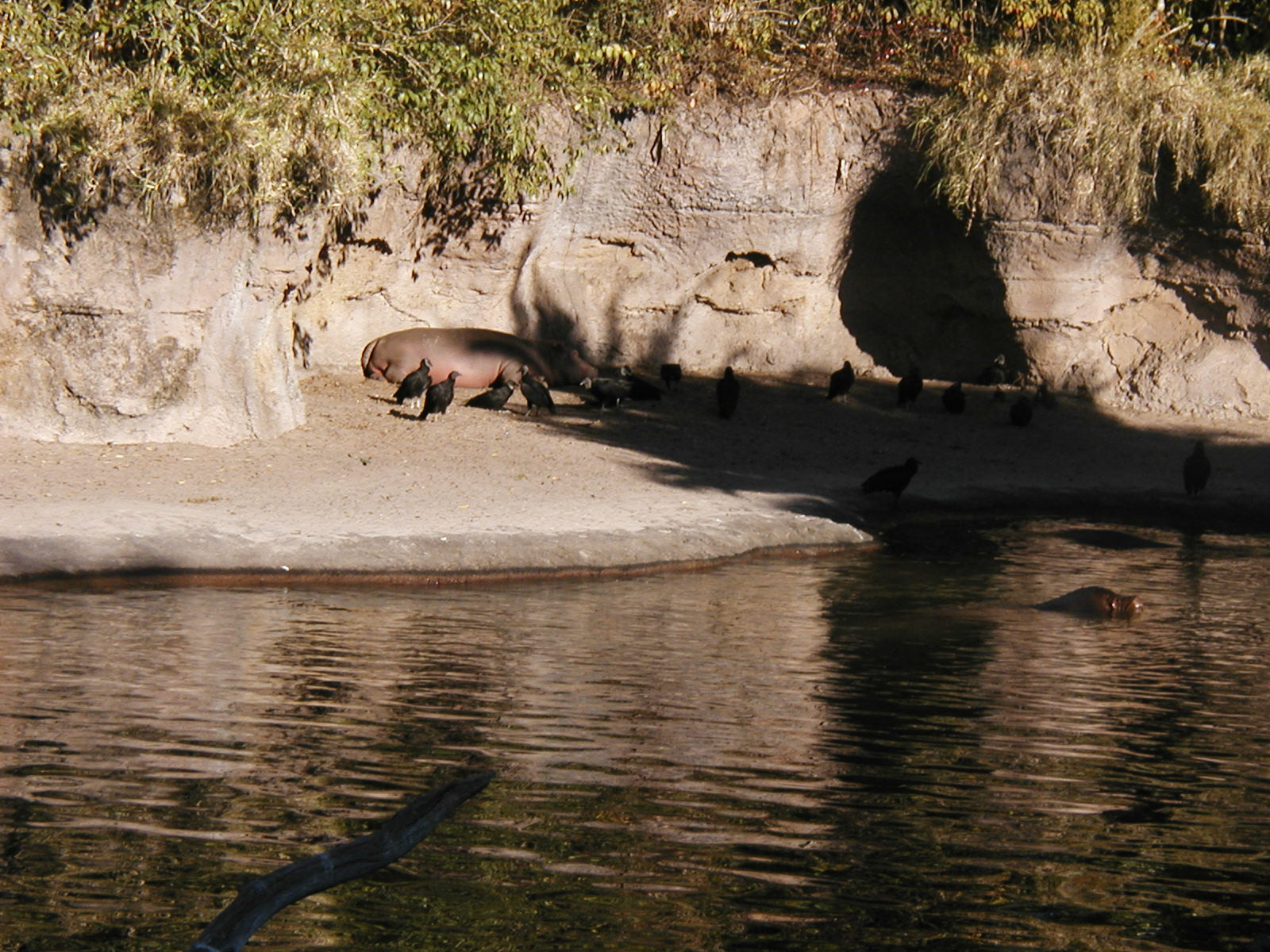 OLYMPUS DIGITAL CAMERA