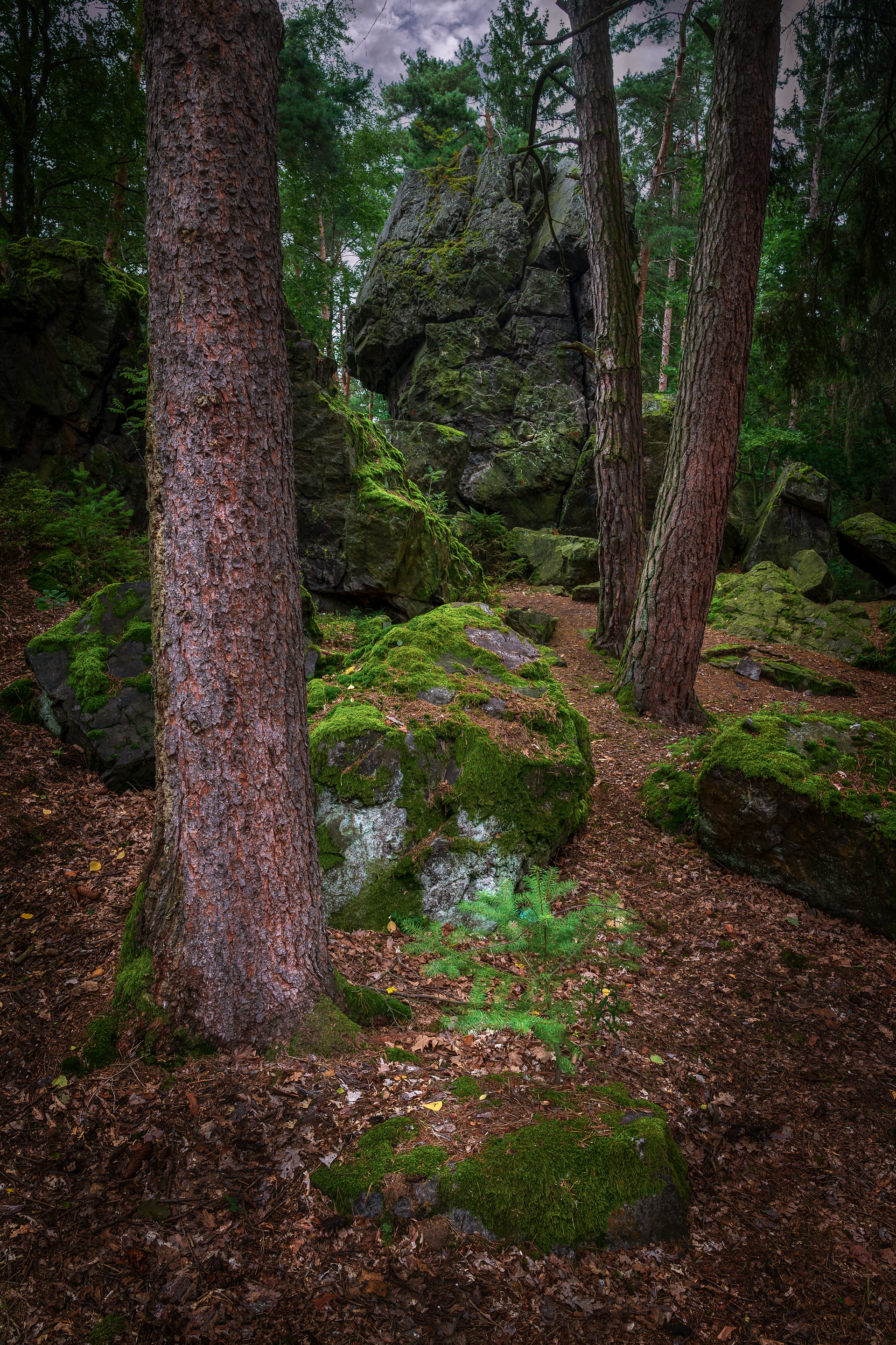 Tupadelské skály