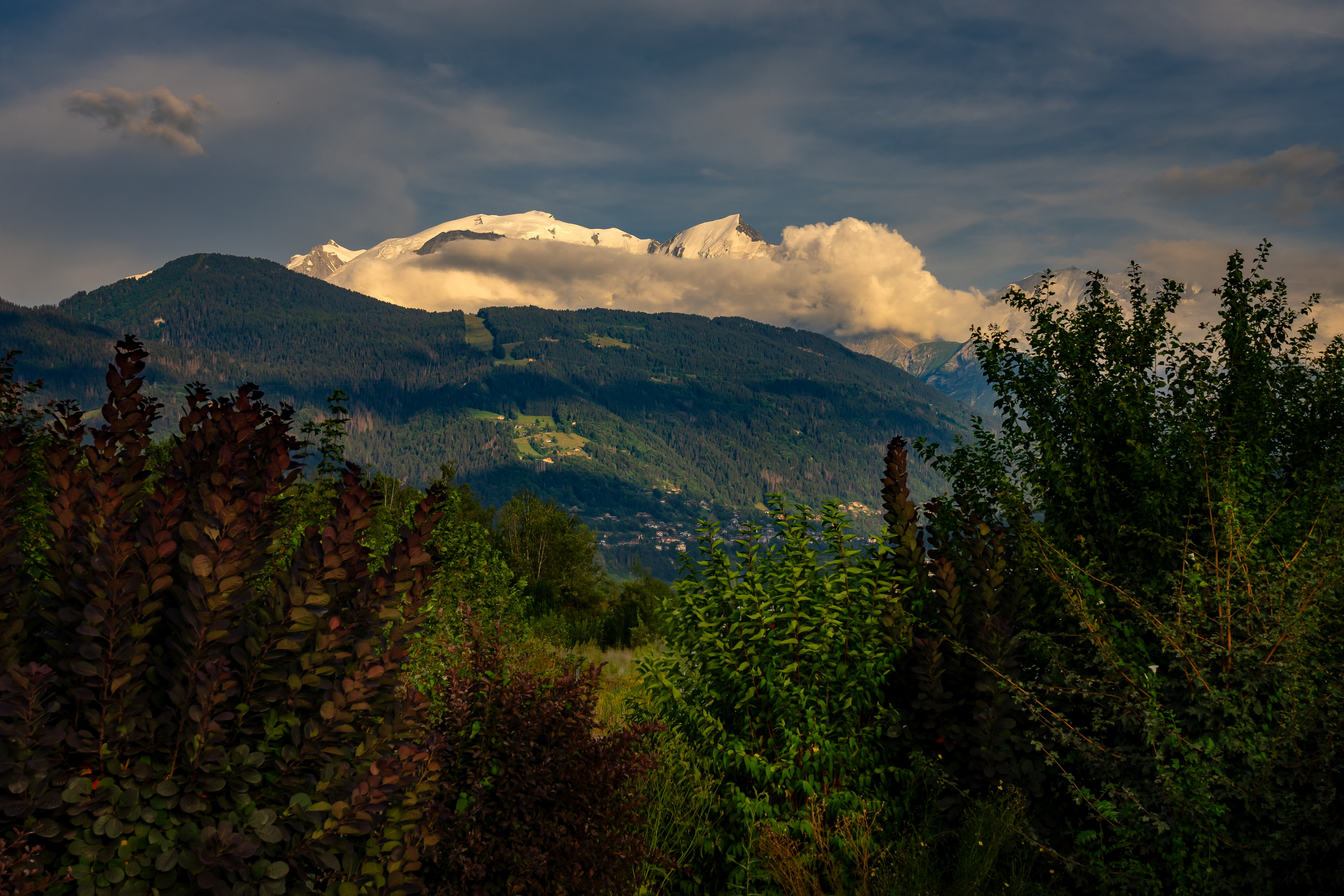 The Mont Blanc