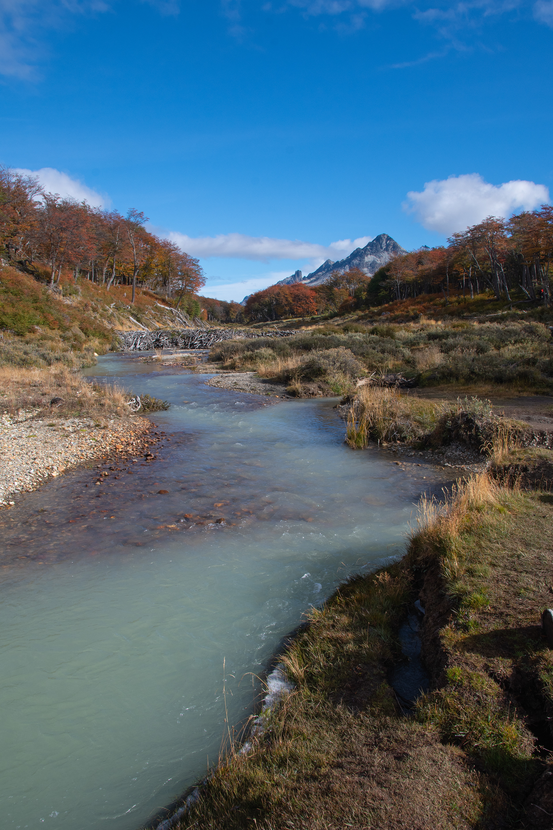 USHUAIA - TIERRA DEL FUEGO - ARGENTINA