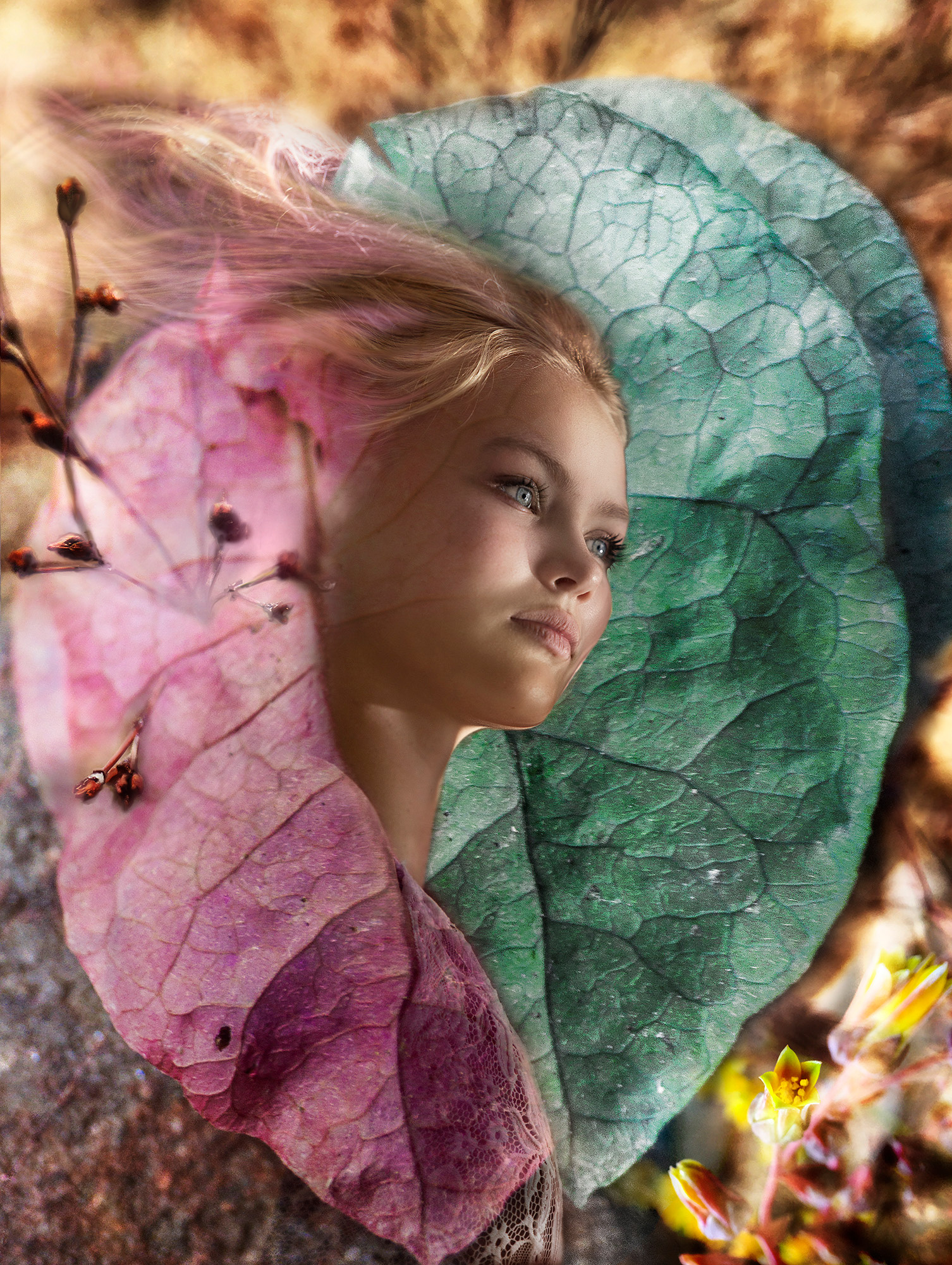 May in the Glendale garden.