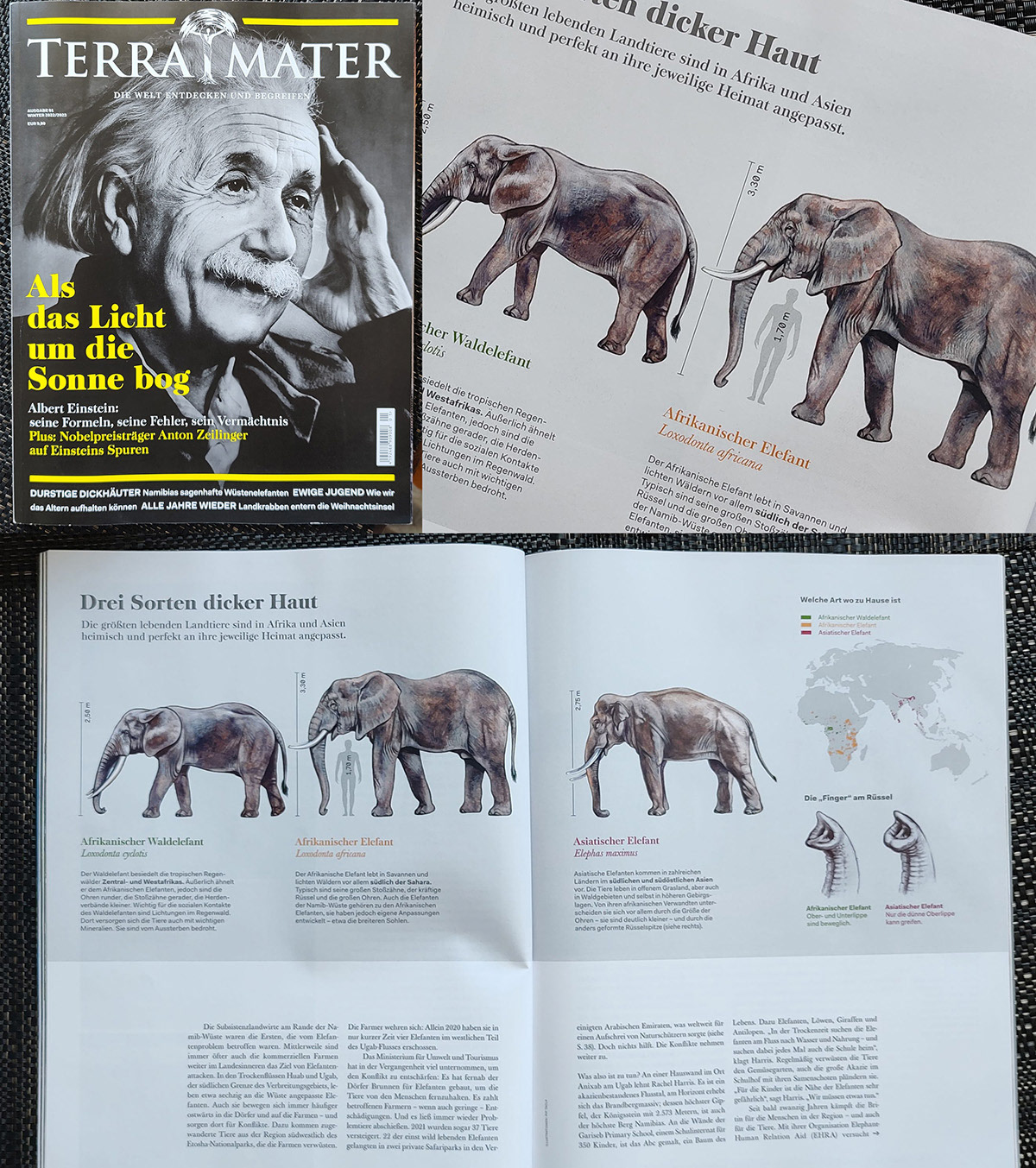 Illustrations in Terra Mater magazine issue 1/23, Red Bull Media House Publishing
