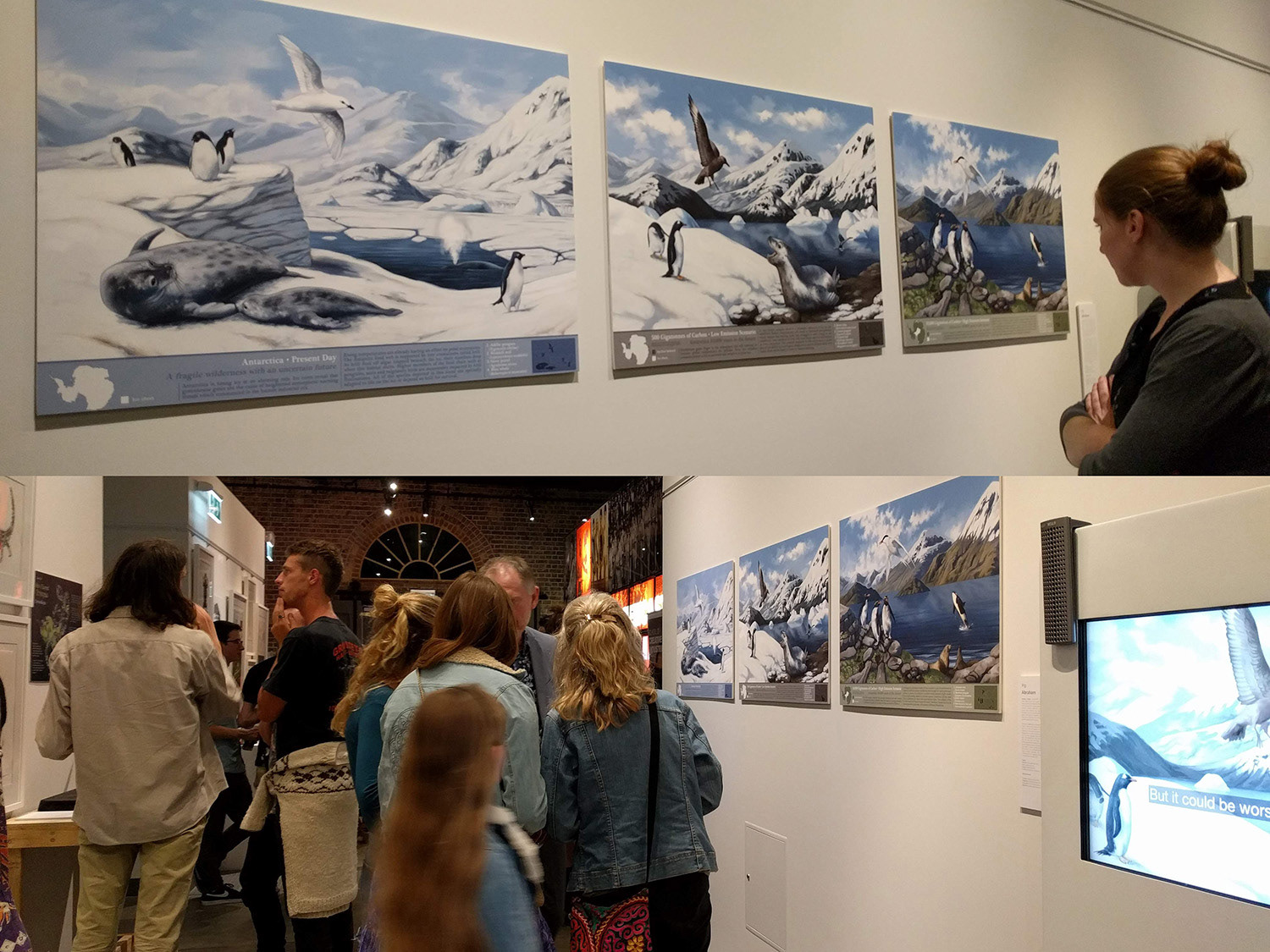 Antarctica global warming scenarios exhibited in Newcastle Museum 2018
