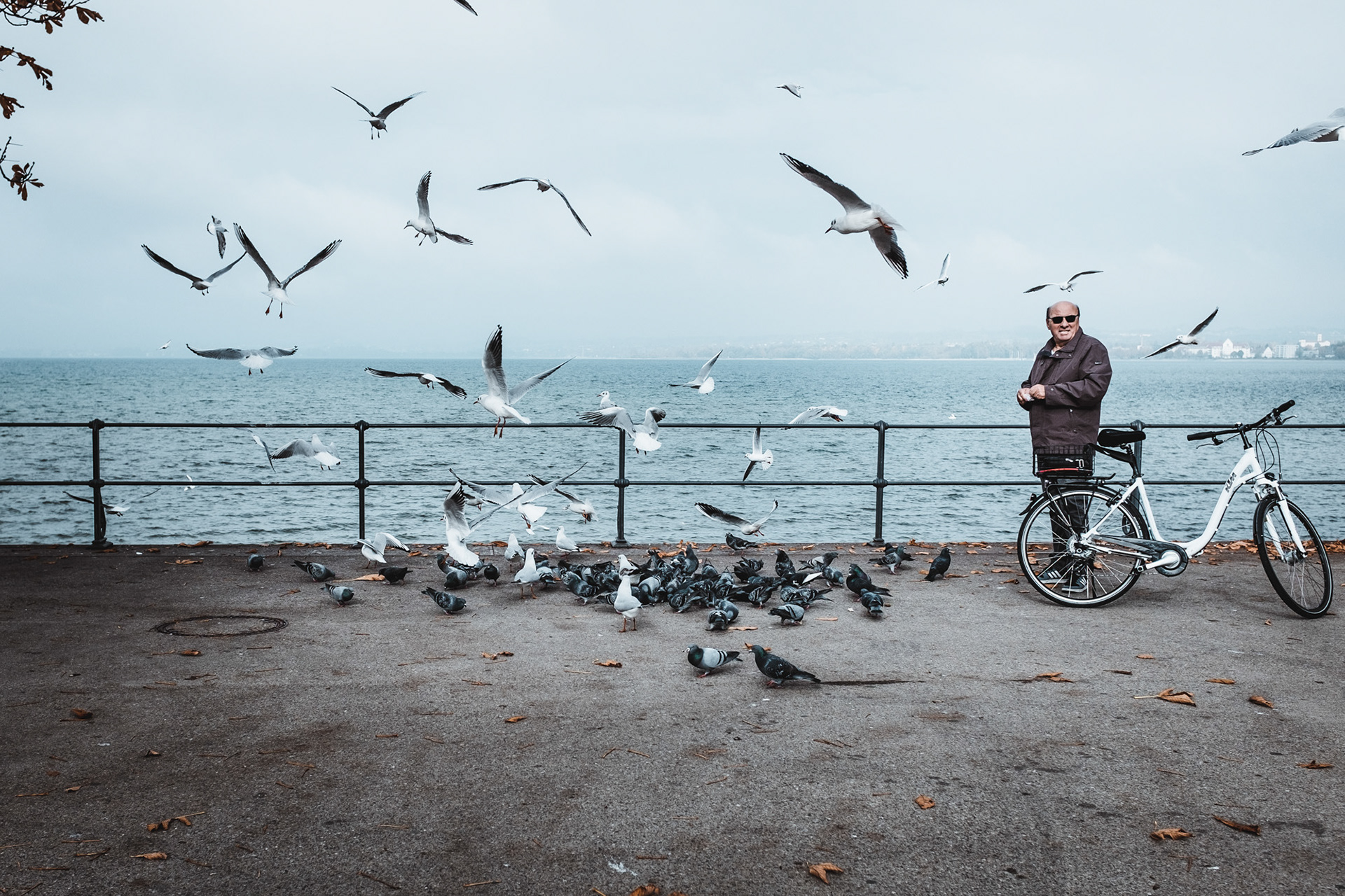 Alter Mann begeistert über fliegende Vögel am See