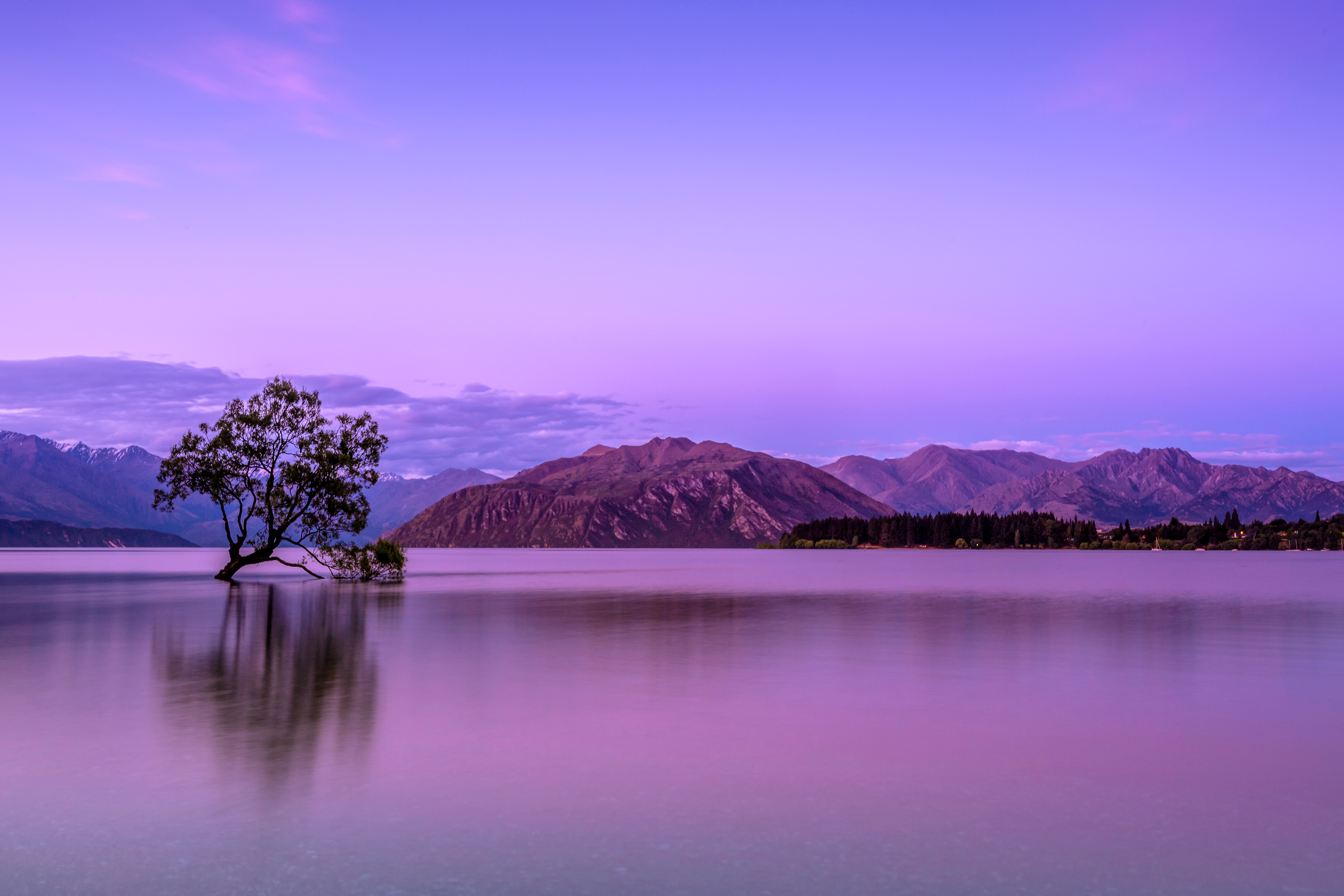 Lone tree in calm lake with purple reflections, mountains in background under soft twilight.