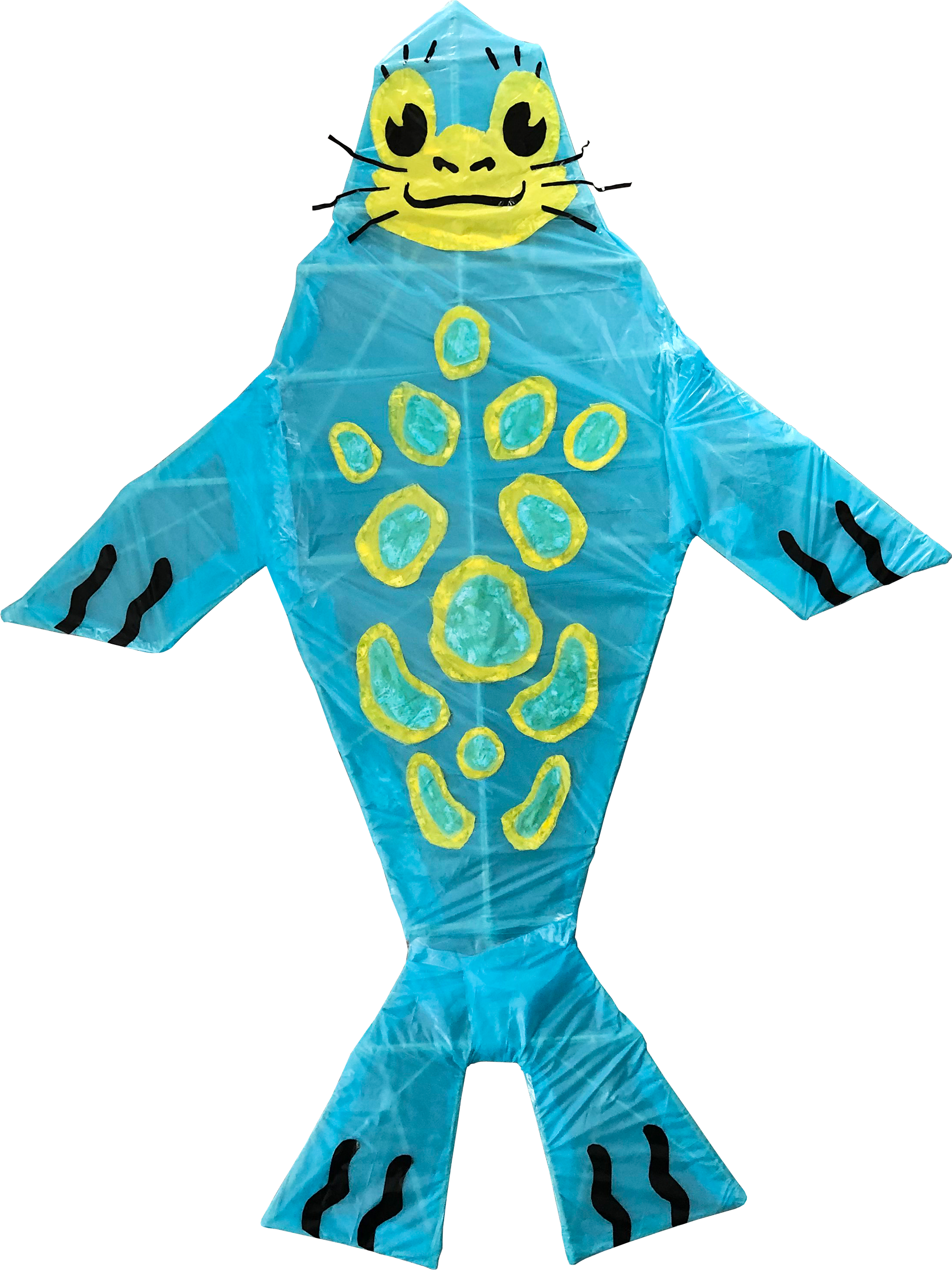 Ringed seal