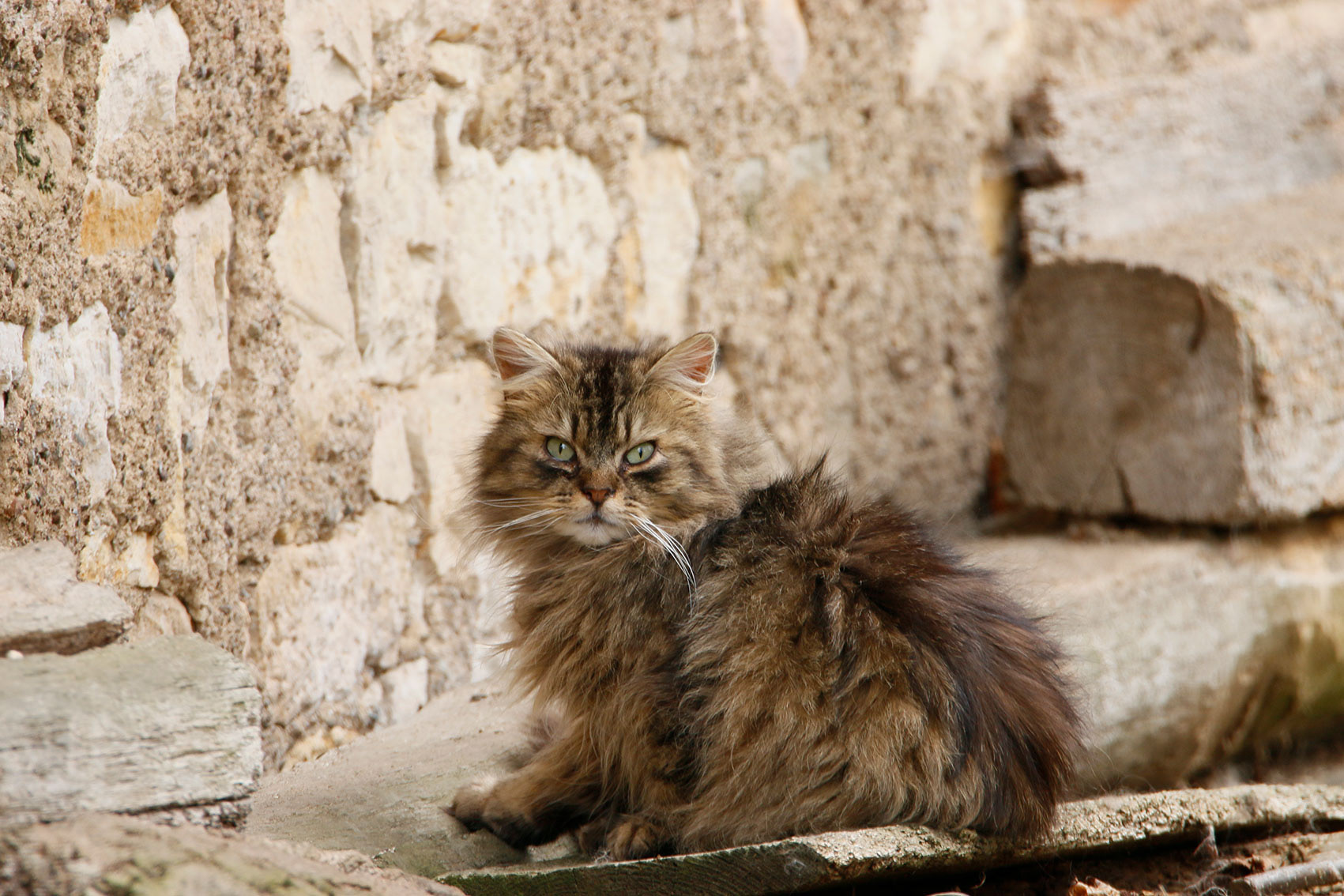 GRAFF Marie . 45x30 . 30€