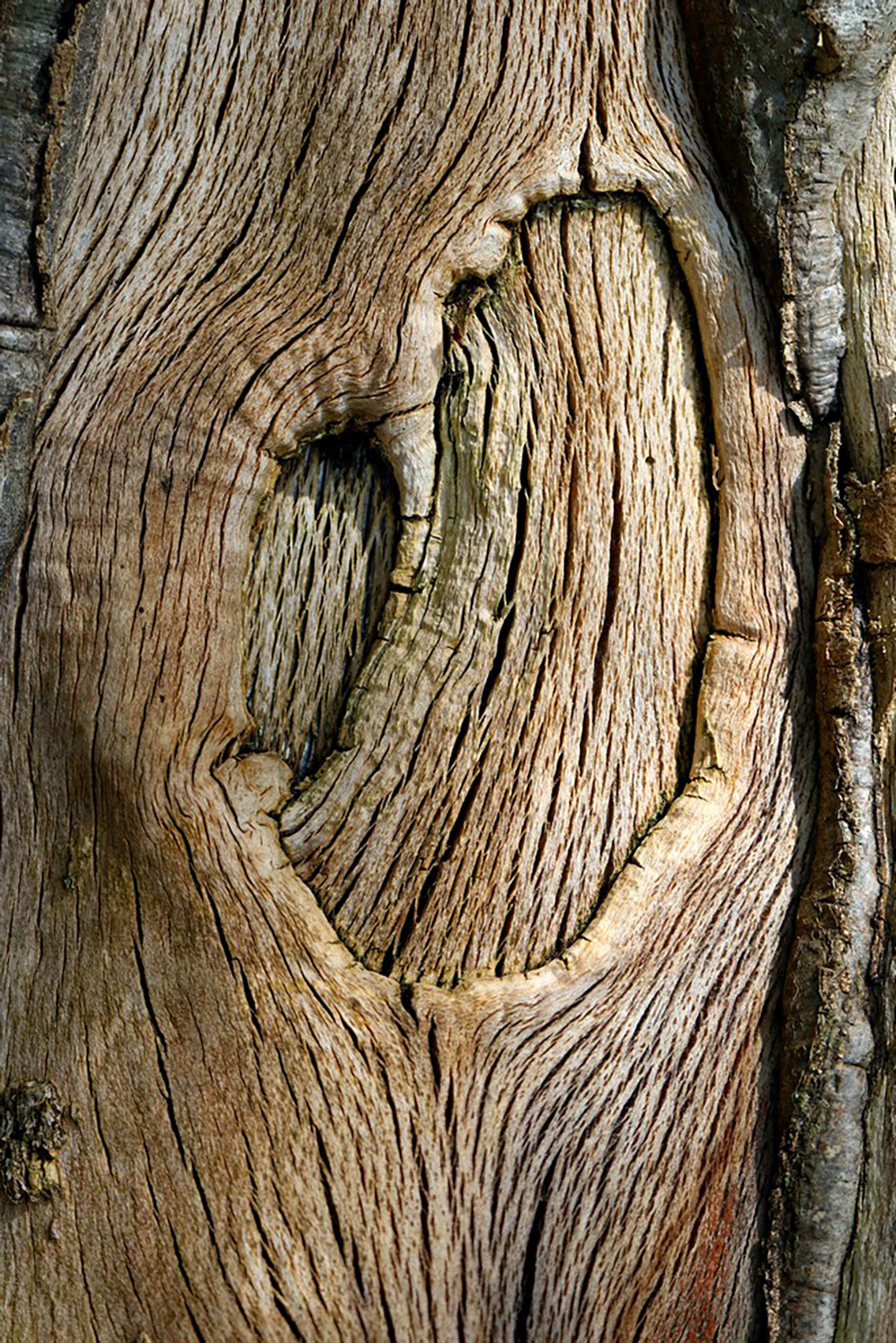 - VENDU - DRUEZ Maryse . 40x60 . 90€