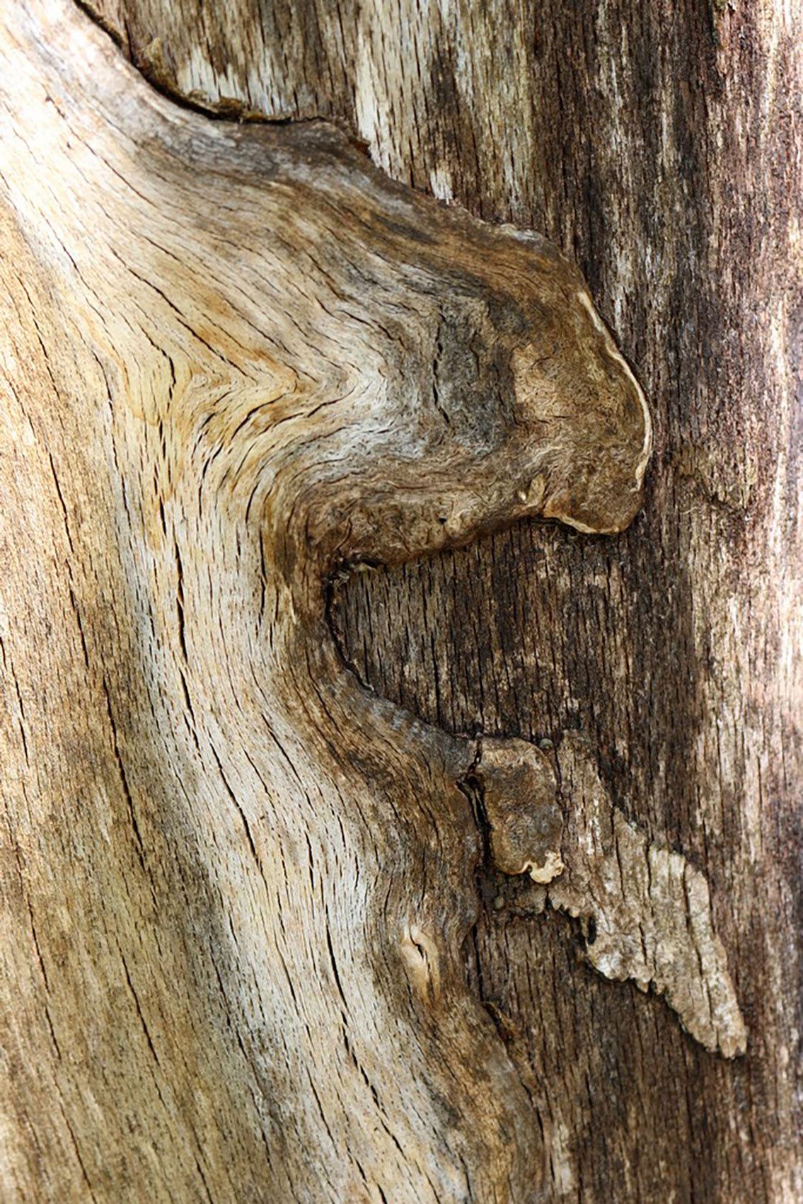 - VENDU - DRUEZ Maryse . 40x60 . 90€