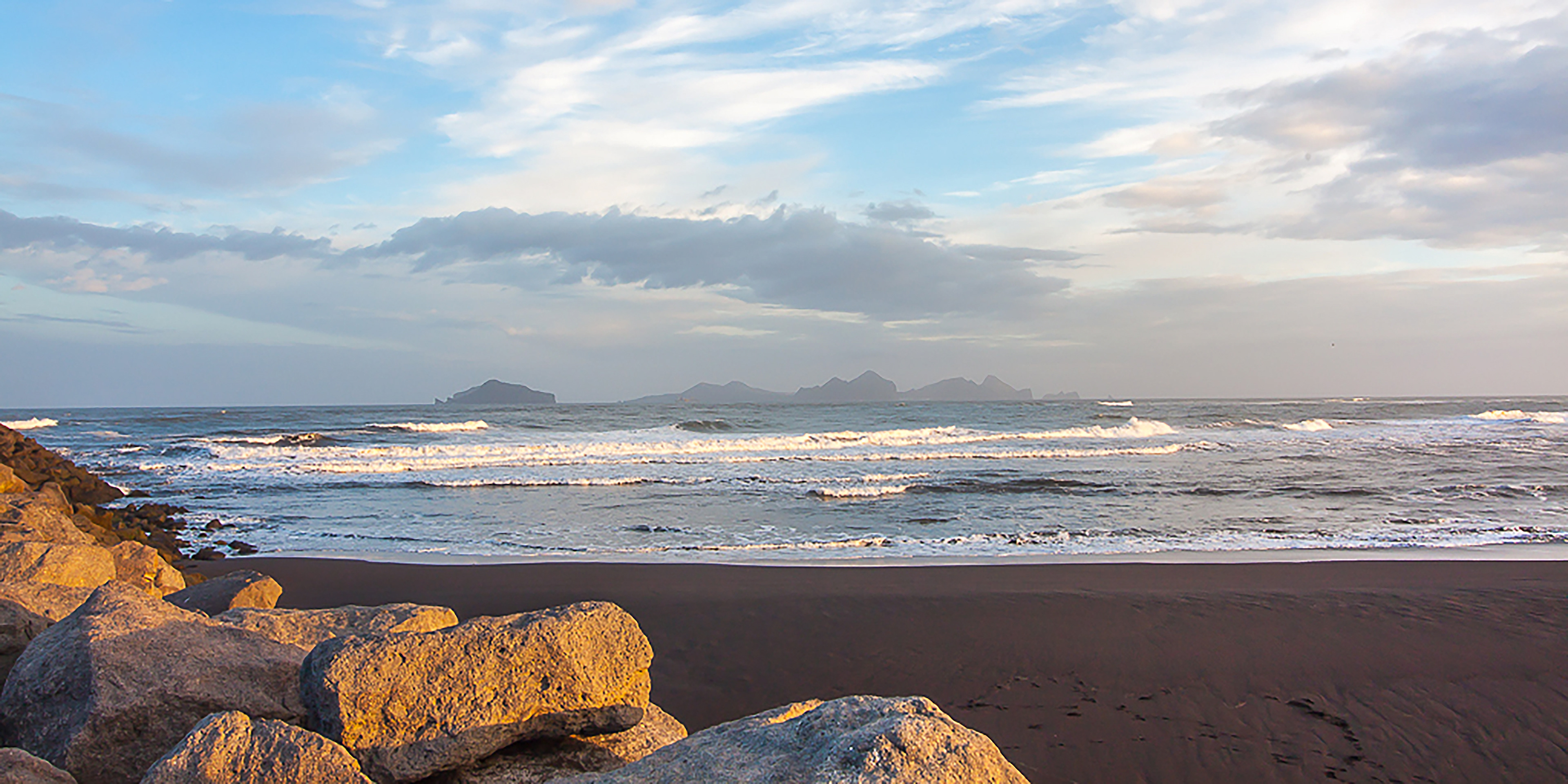 POIRRIER MONIQUE . 60x30 . 60€