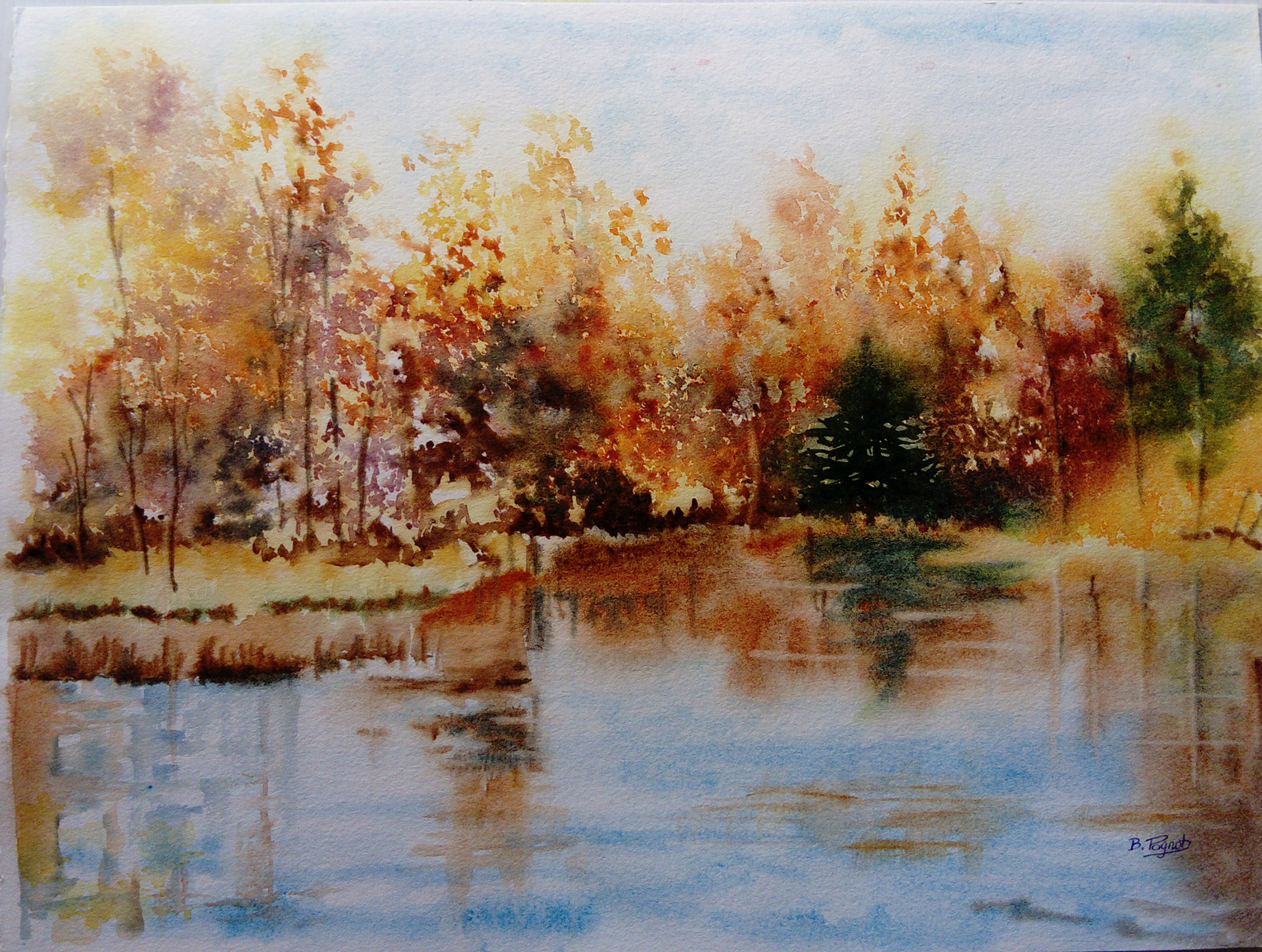 PAGNOT BRIGITTE . 40x30 . 60€