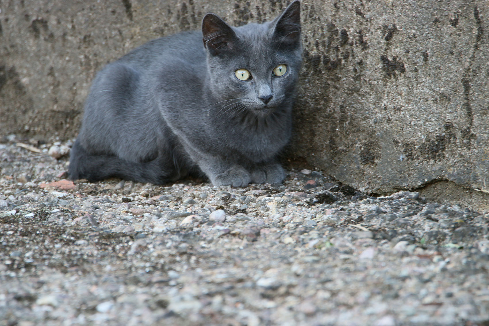 GRAFF Marie . 45x30 . 30€