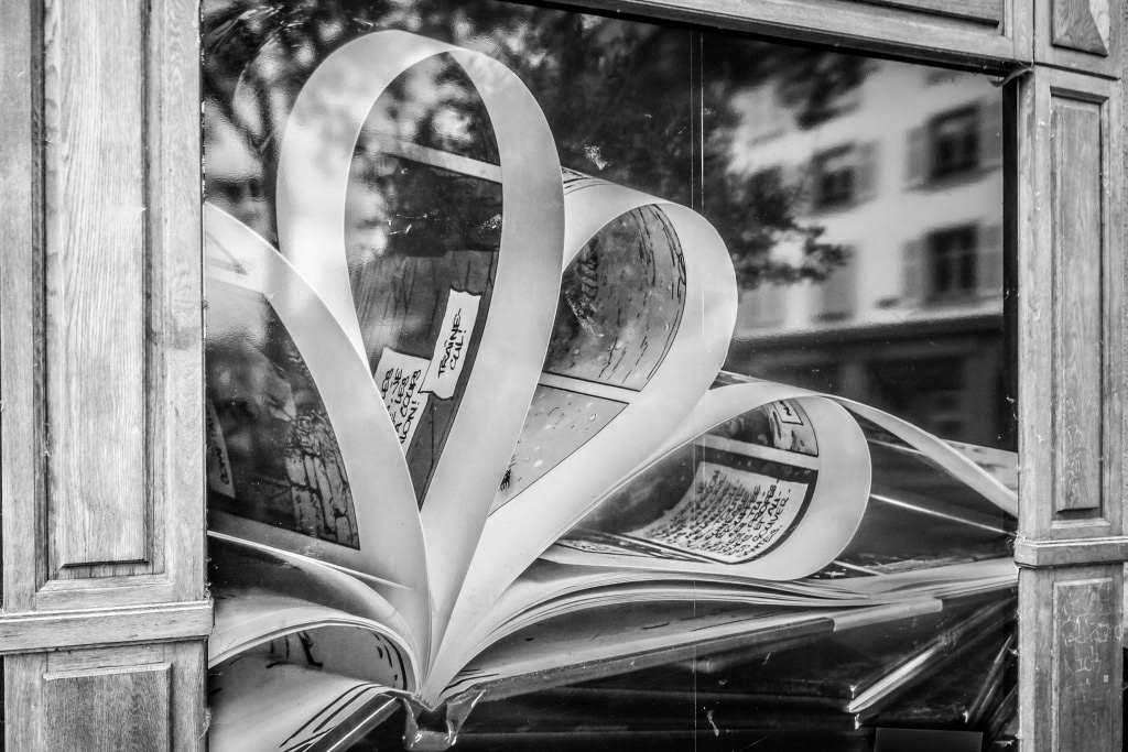 - VENDU - RENAUD MARIE-PIERRE . 90x60 . 50€