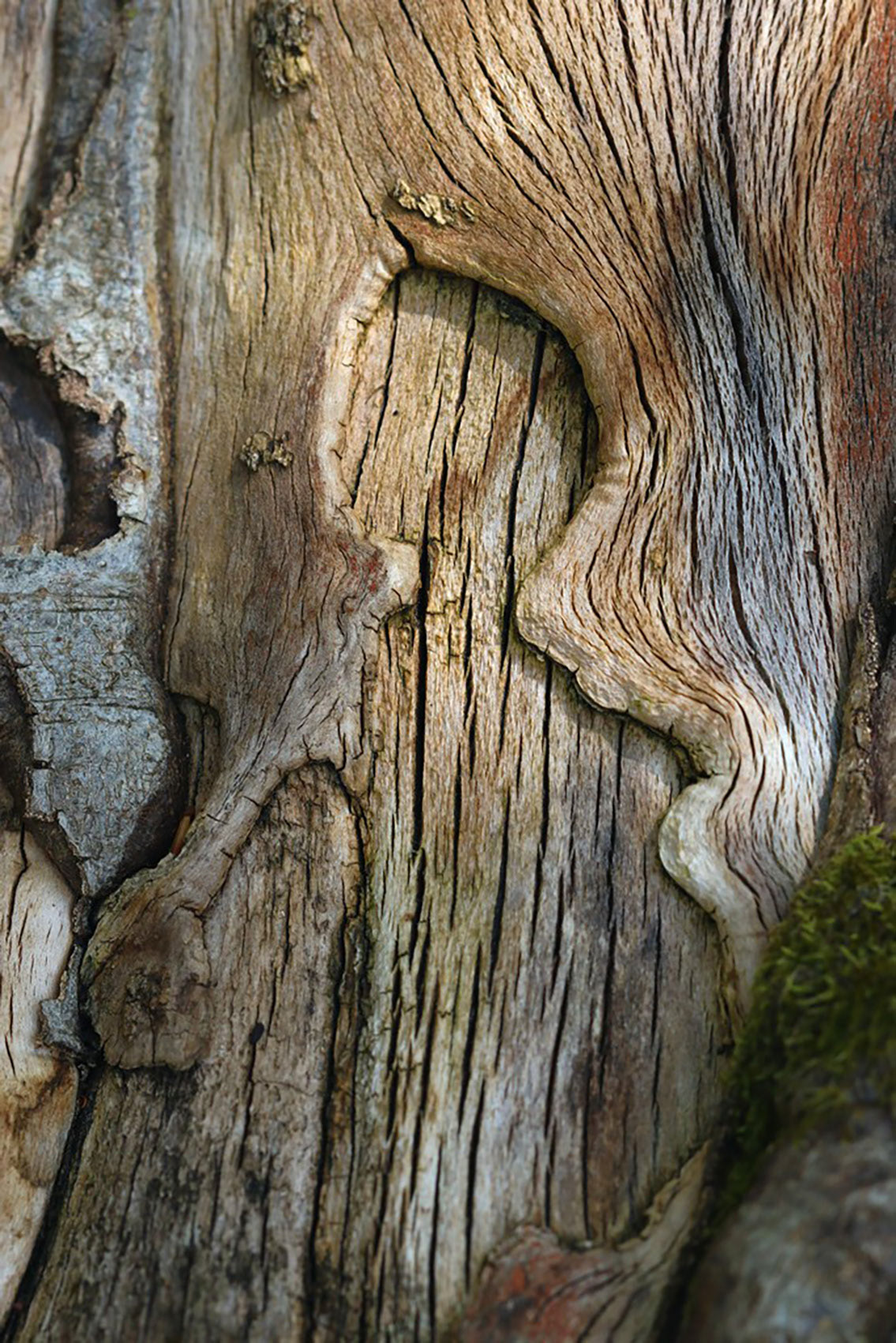 - VENDU - DRUEZ Maryse . 40x60 . 90€