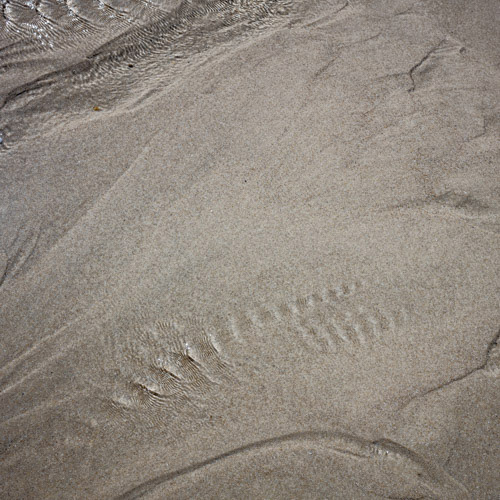 GIACOMELLI RAINER . 40x40 . 25€