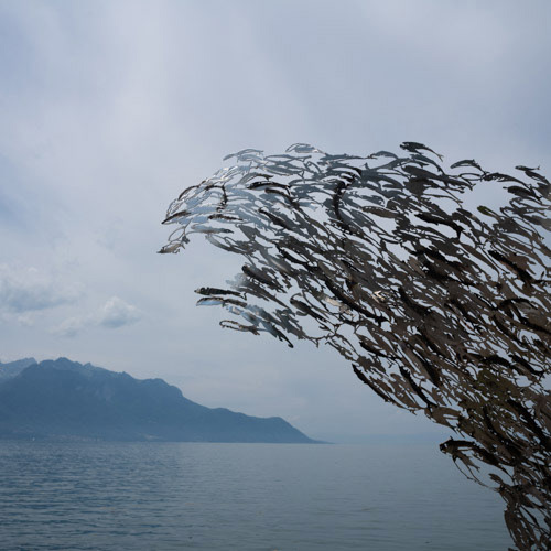 - VENDU - GIACOMELLI RAINER . 40x40 . 25€