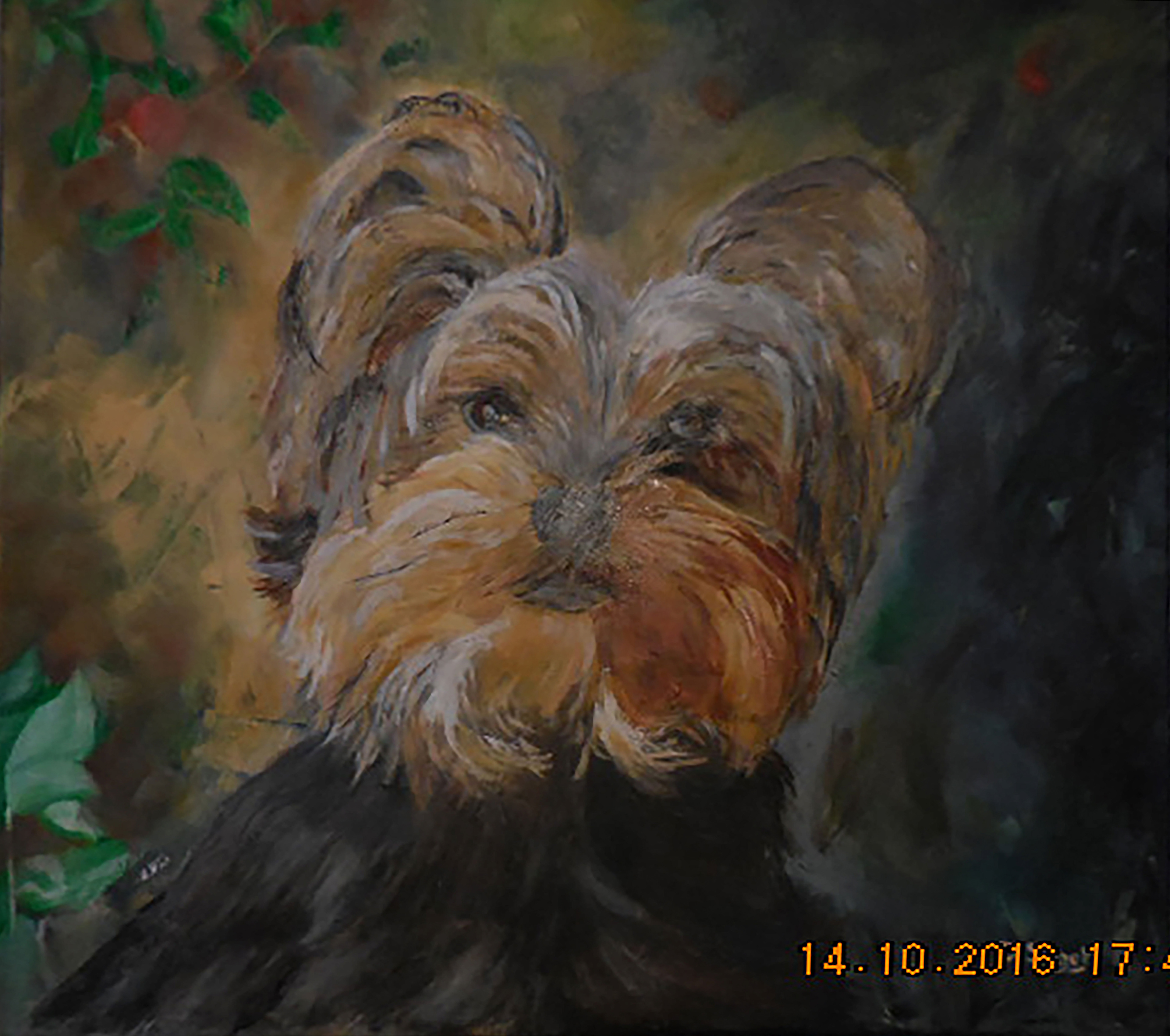 SAGET DANIELLE . 50x50 . 100€
