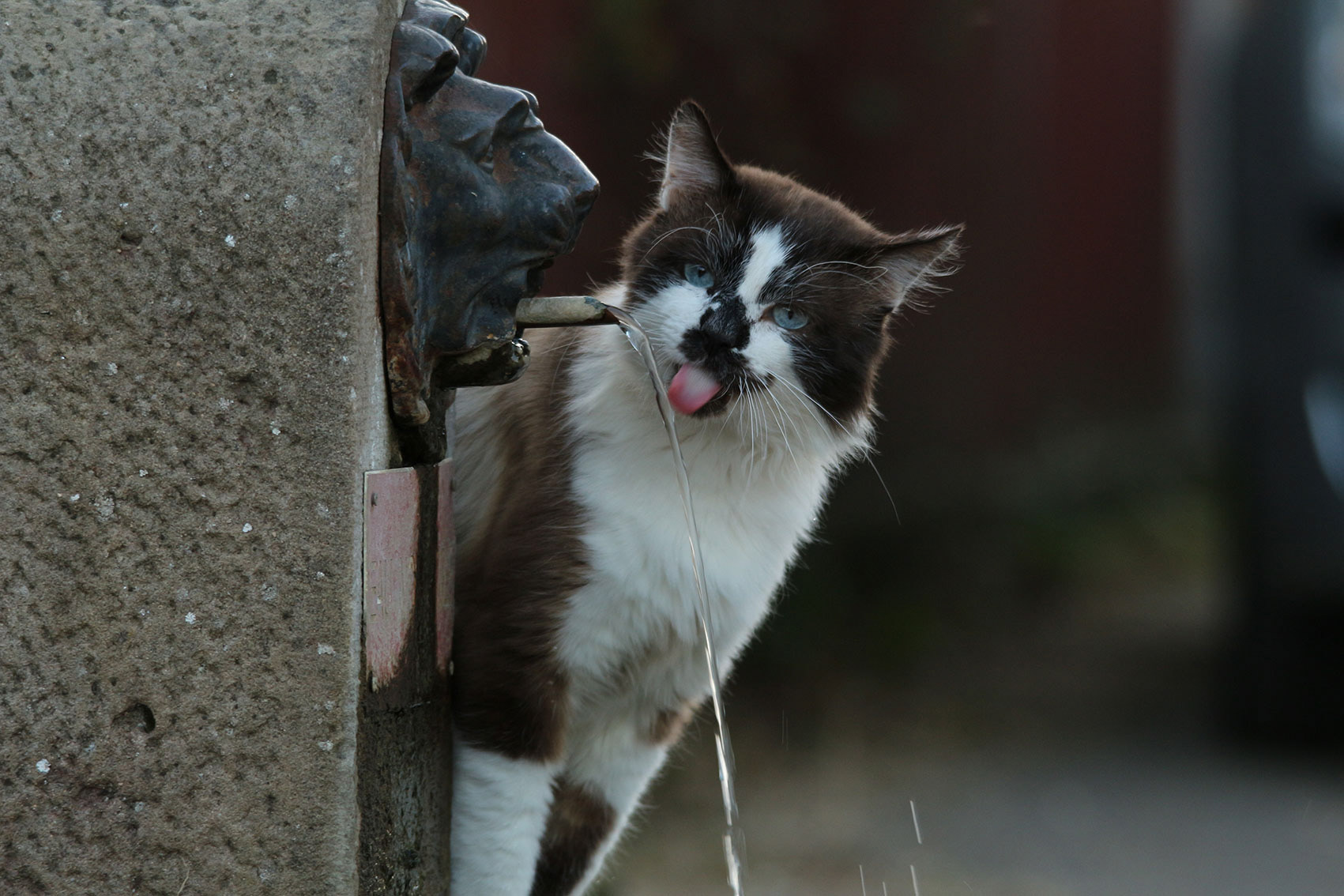 GRAFF Marie . 45x30 . 30€