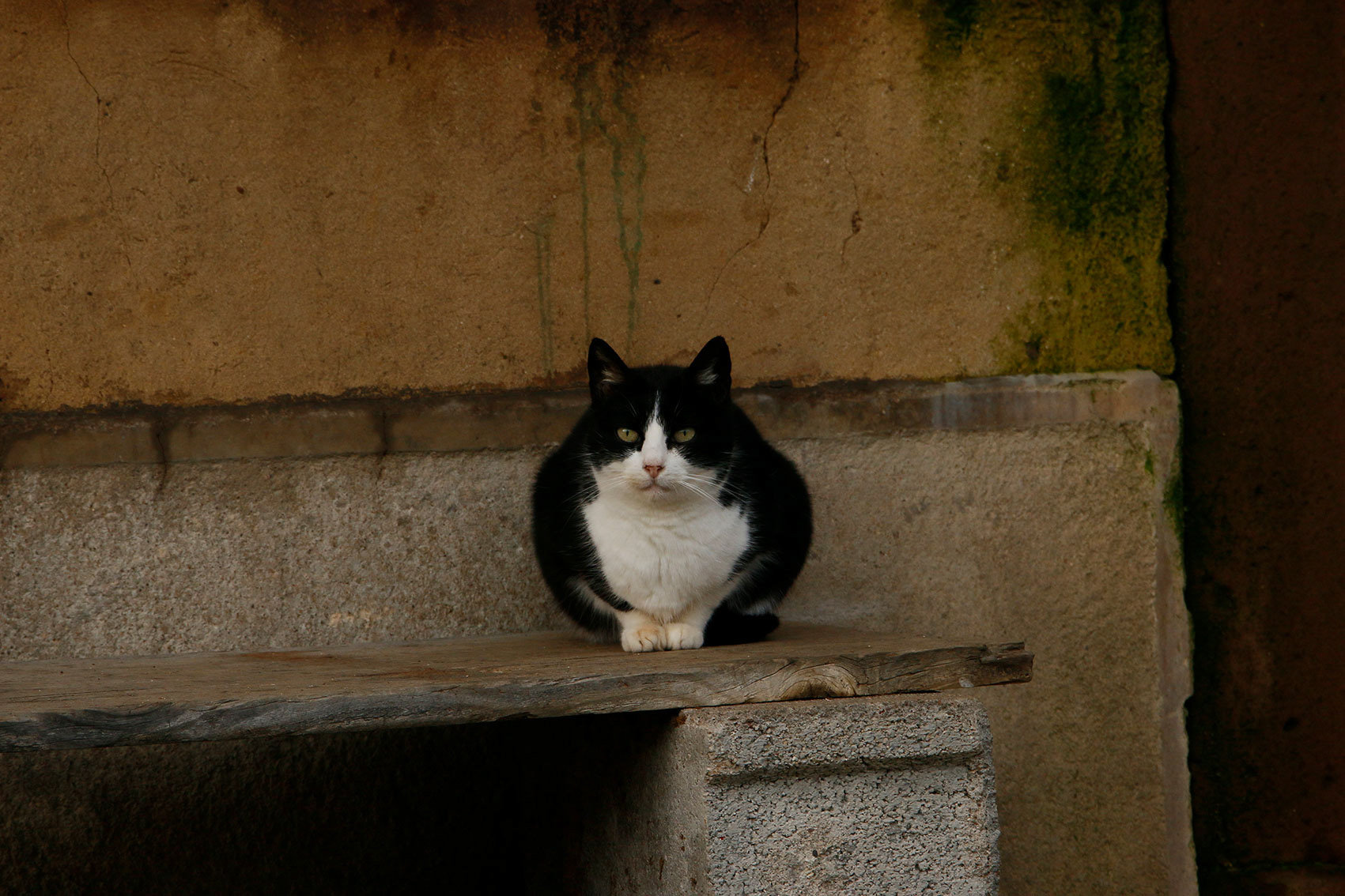 GRAFF Marie . 45x30 . 30€