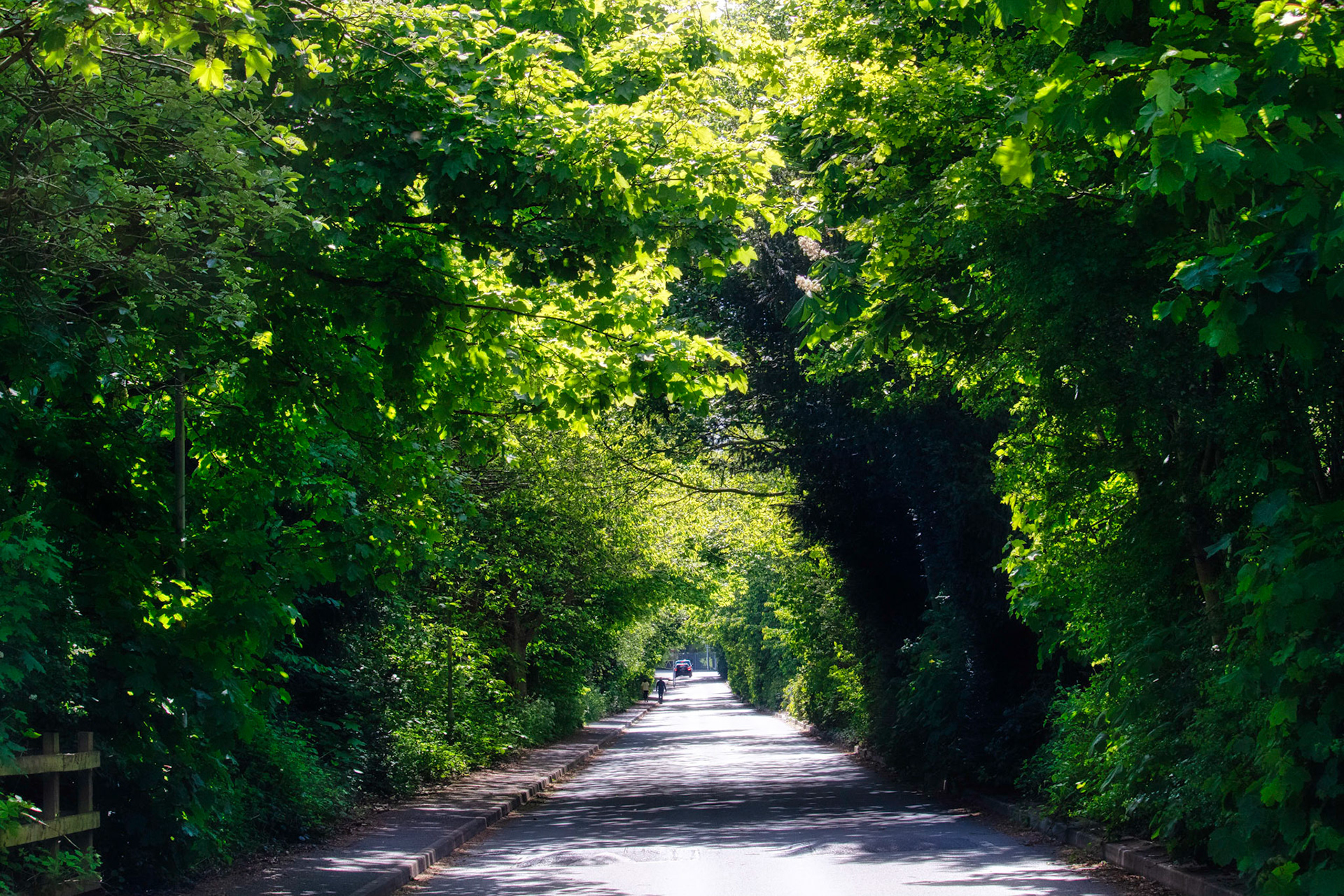 Torr Drive - Leaving Eastham