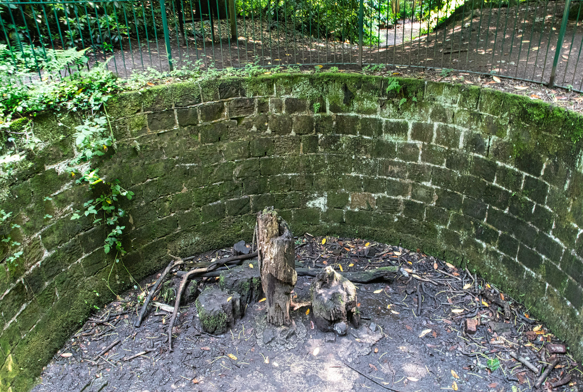 The Bear Pit