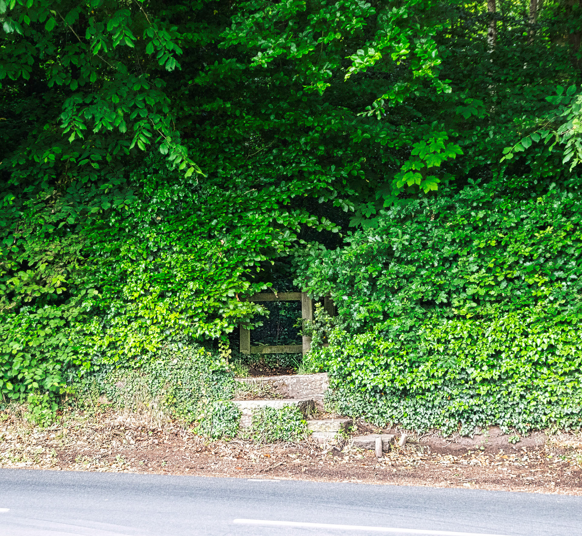 Entrance to the Woods from Ferry Rd