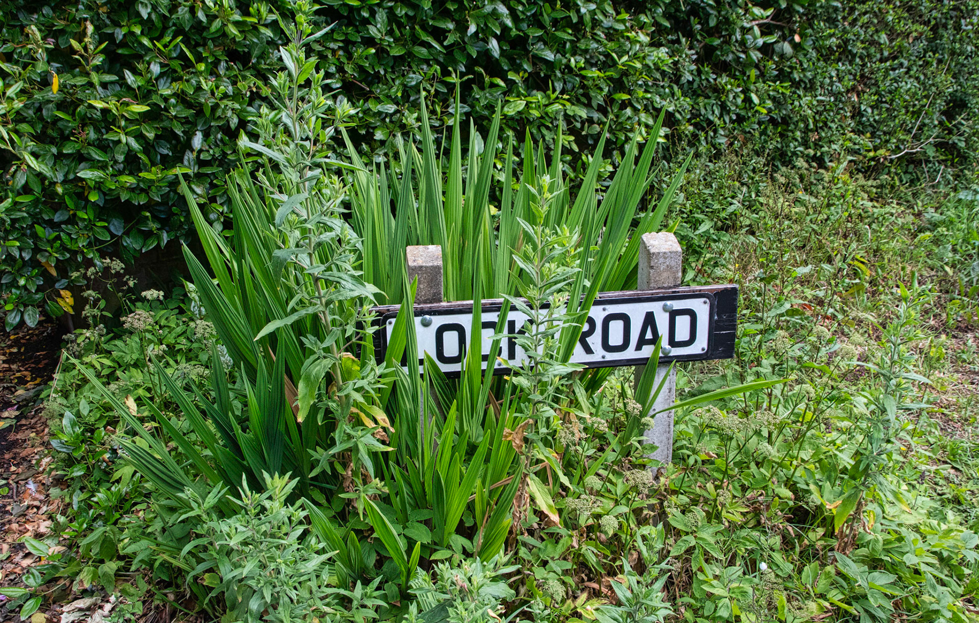 Lock Rd