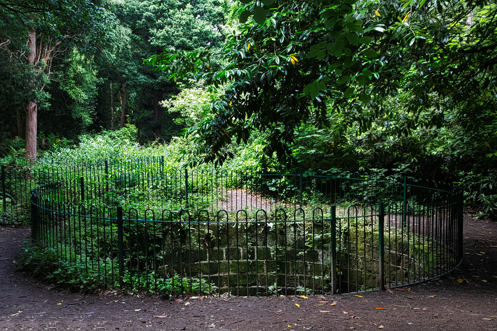 The Bear Pit