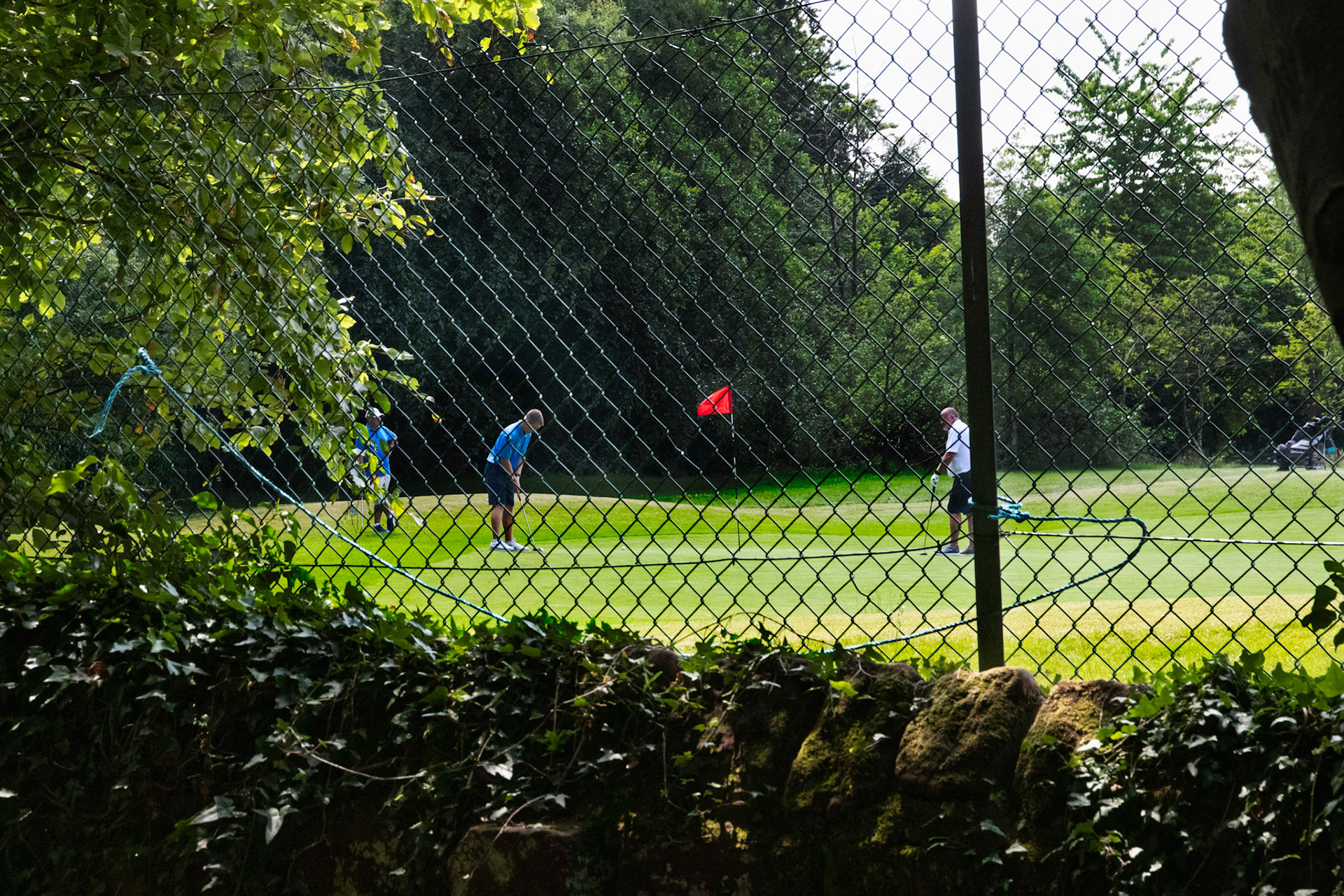 A view of the Golf Course from the Woods