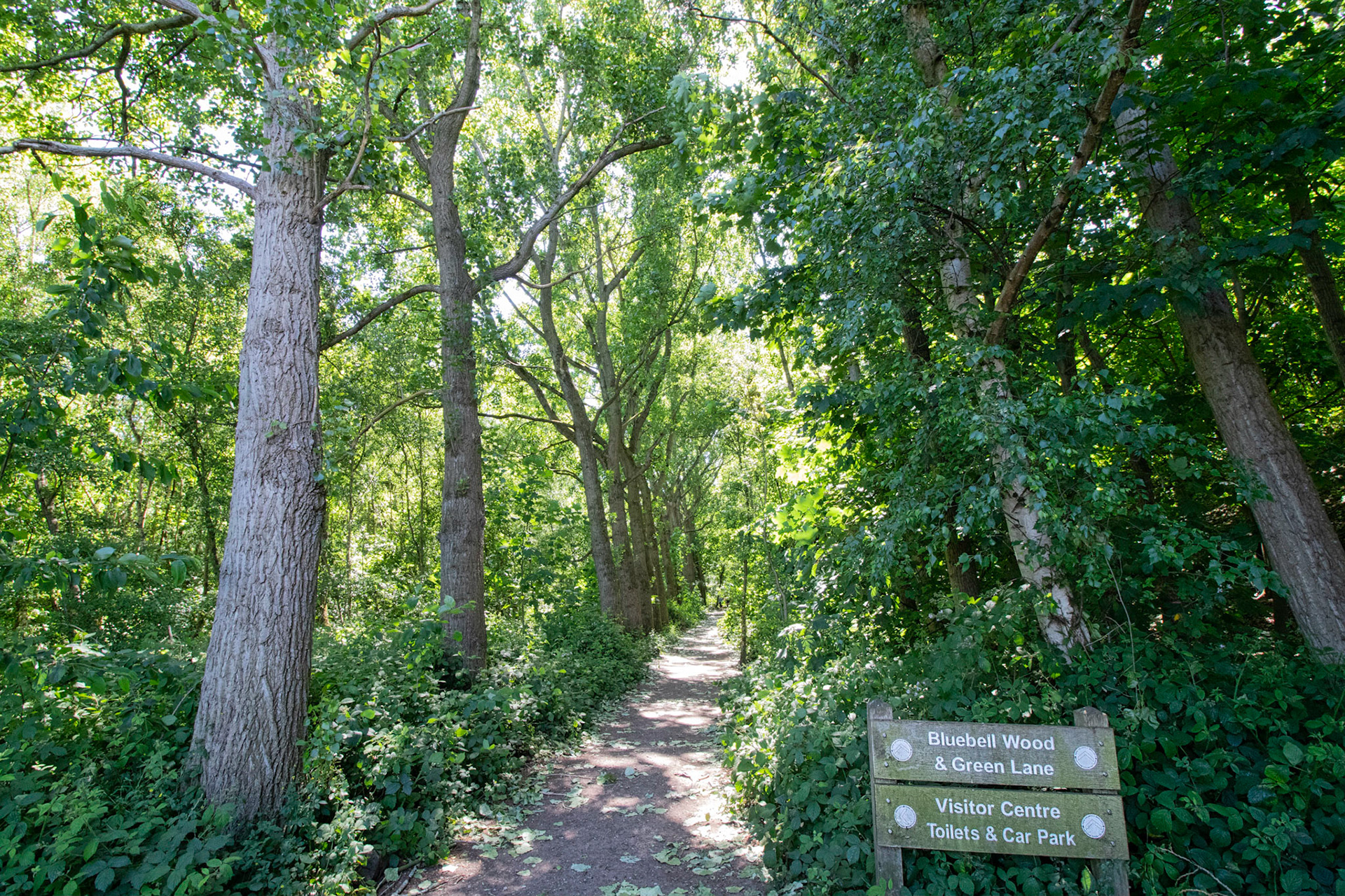 Entrance from Riverwood Rd