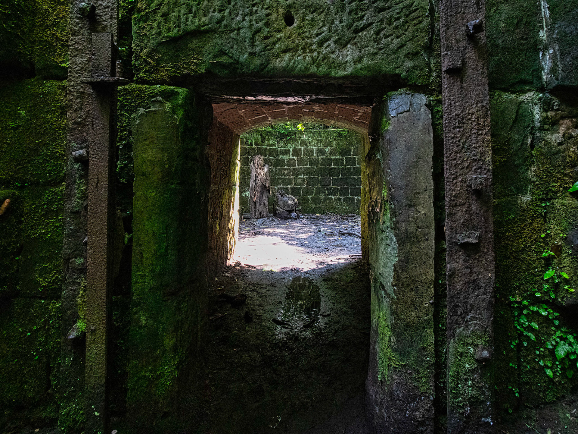 Into the Bear Pit