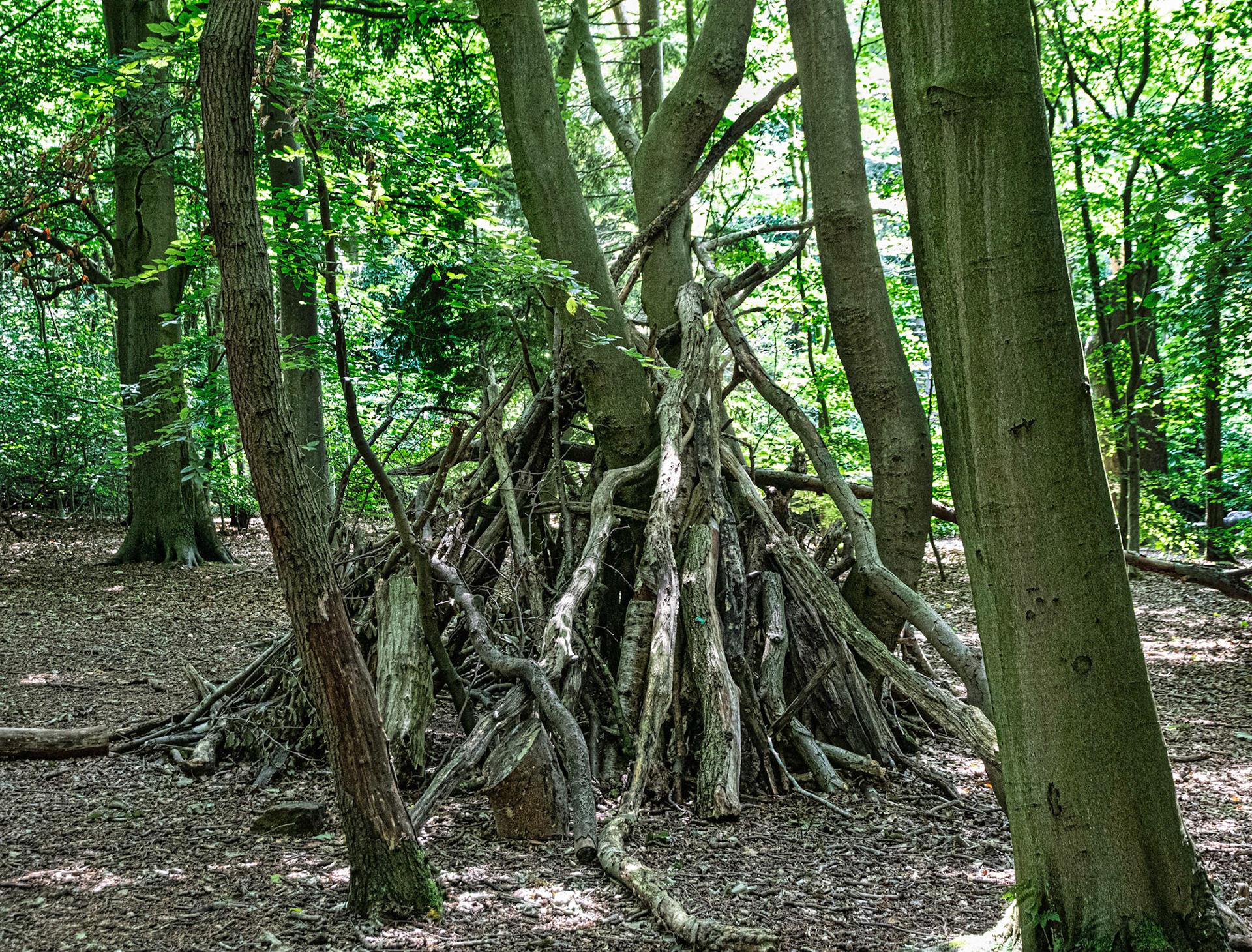 One of the many Dens that the Rangers have built