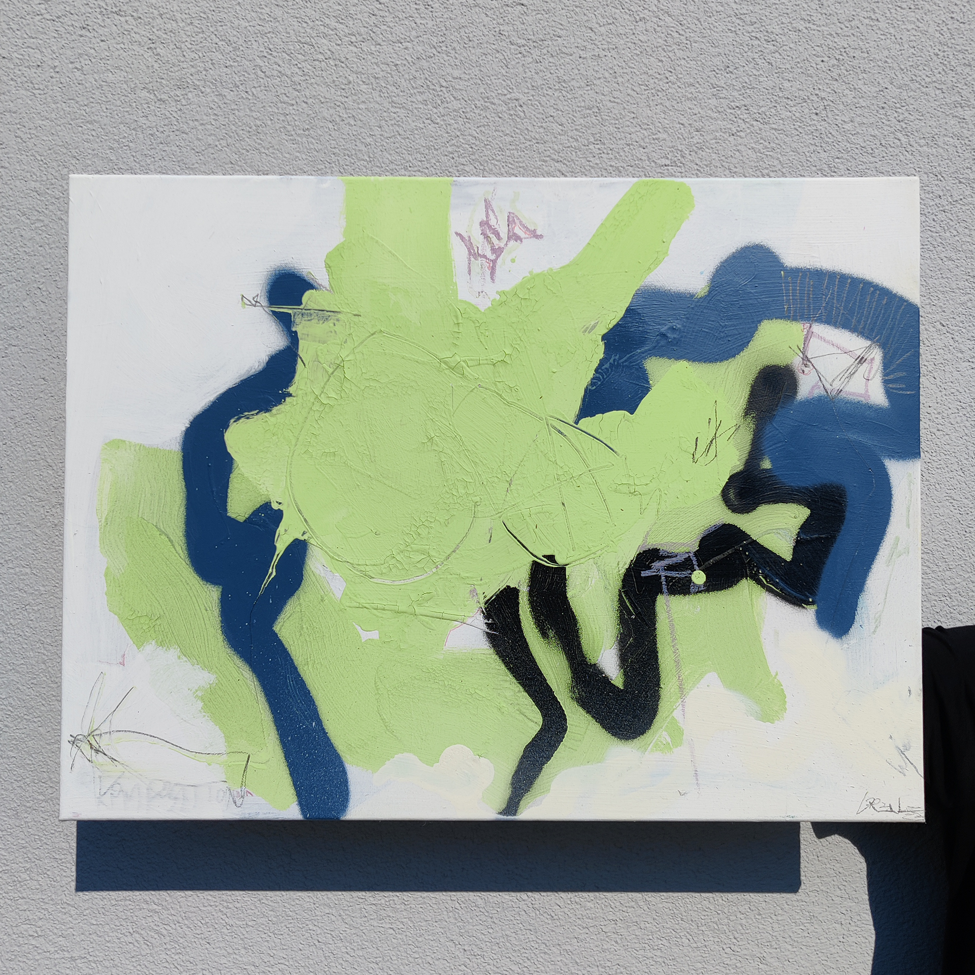 "NATURSCHUTZGEBIET" 2023 80cmx60cm 420€