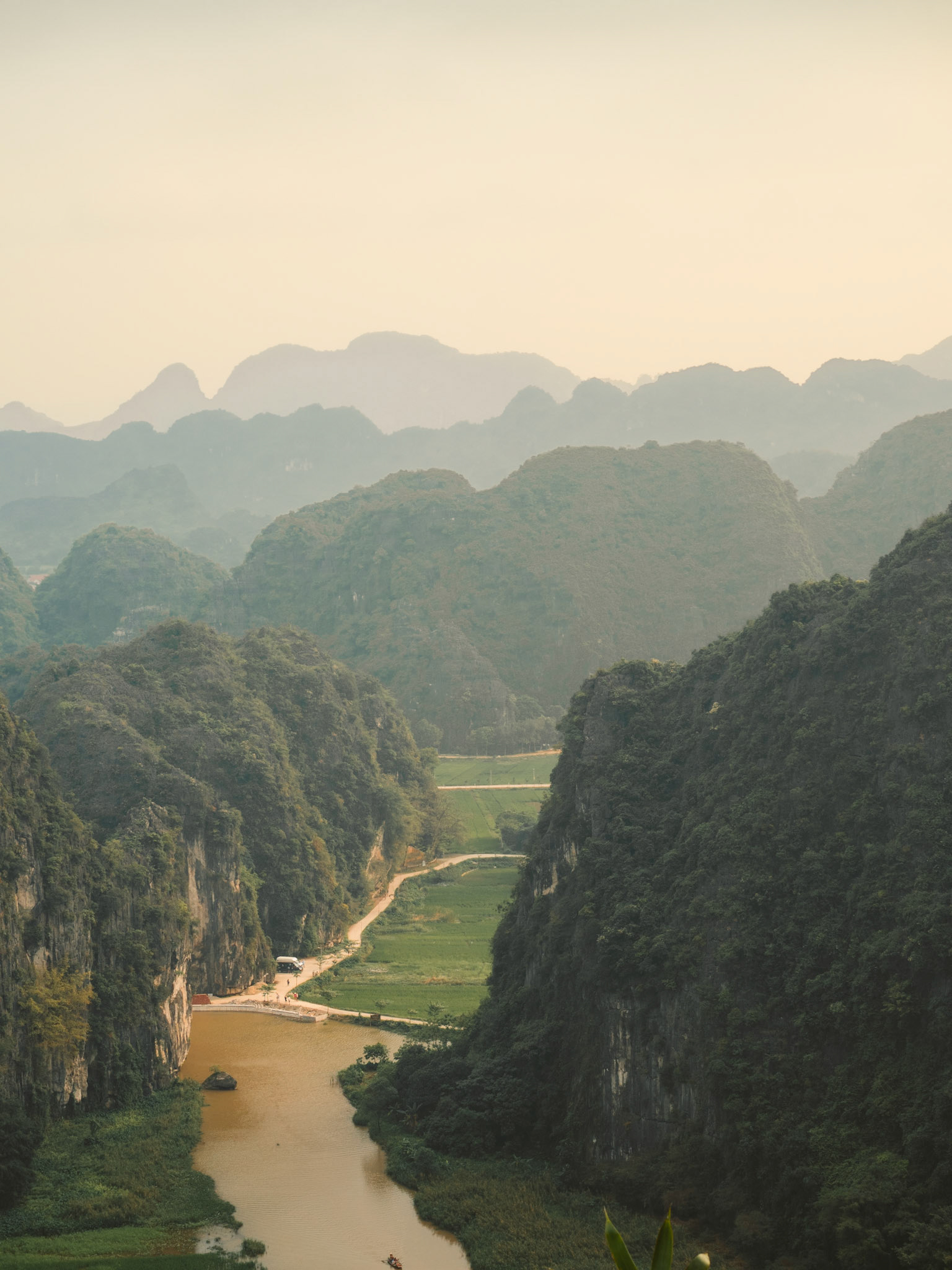 TAM COC