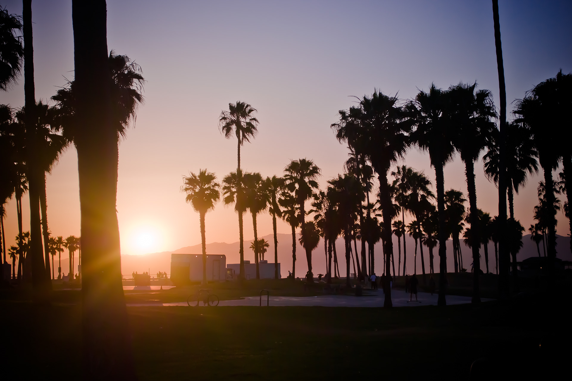 VENICE SUNSET